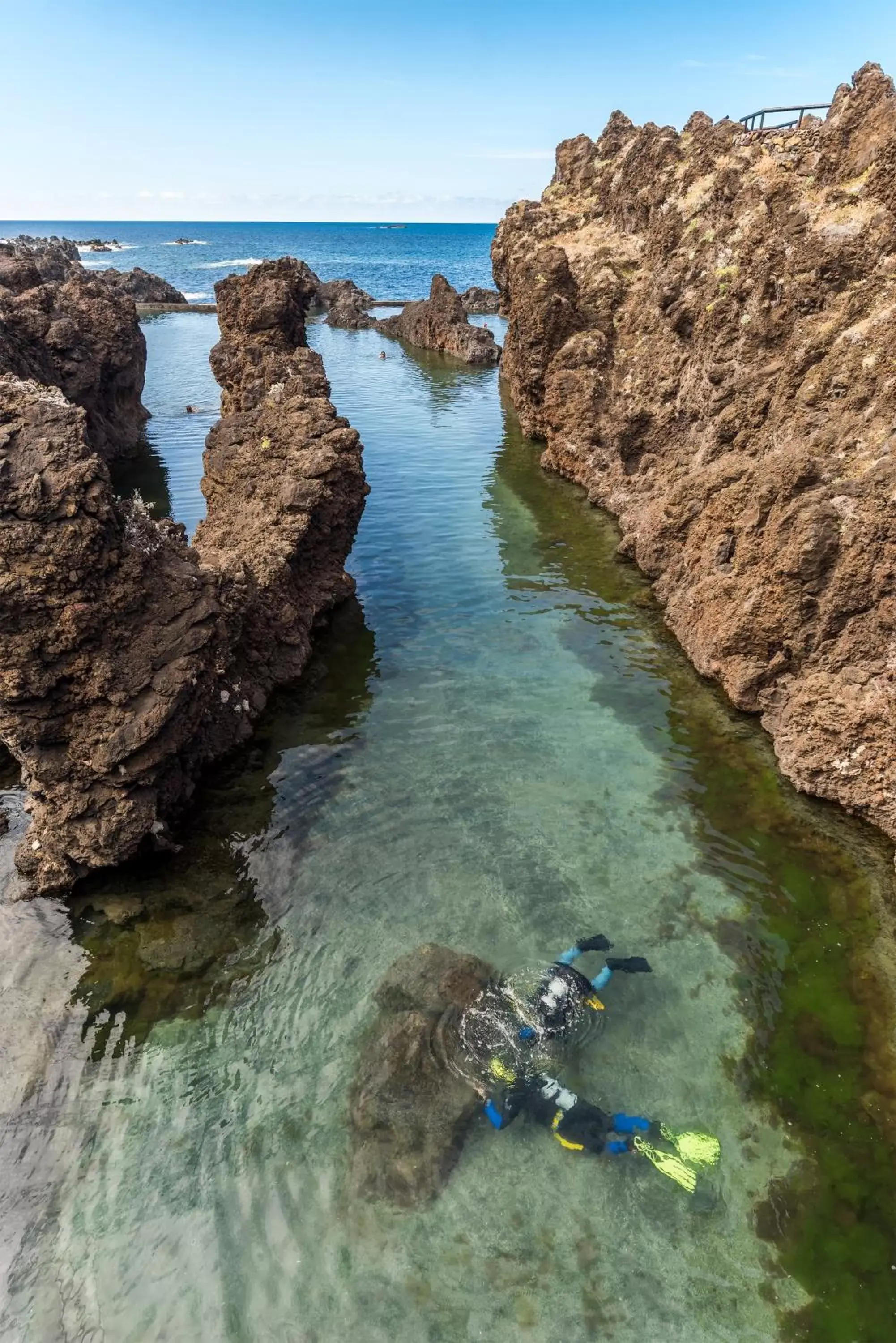 Diving in Aqua Natura Madeira