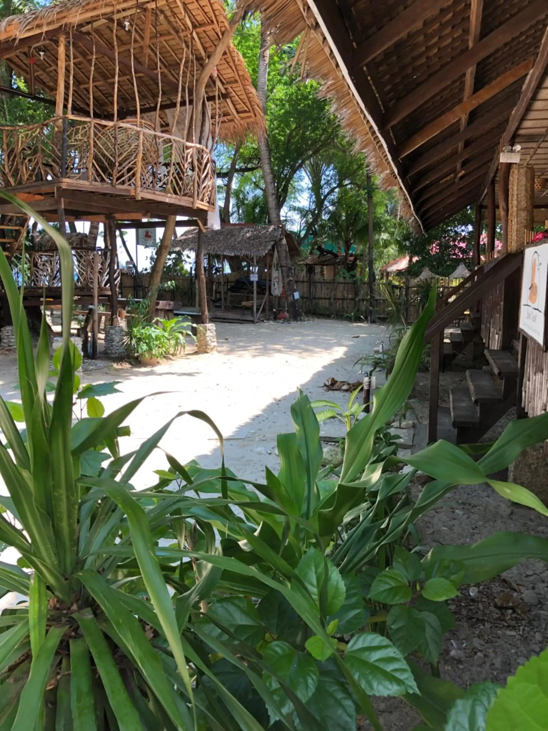 Garden in Amami Beach Resort