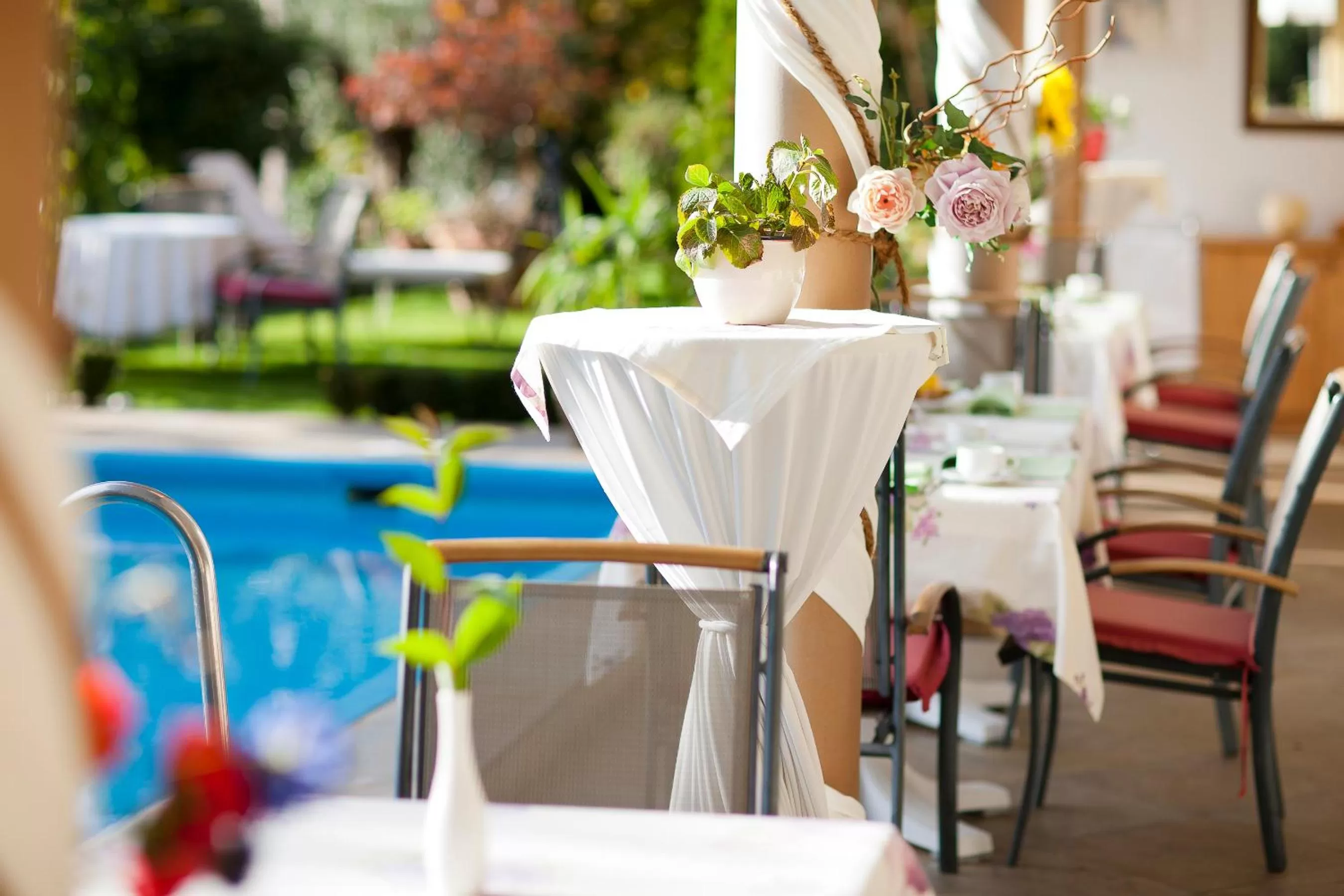 Balcony/Terrace in Hotel Aster