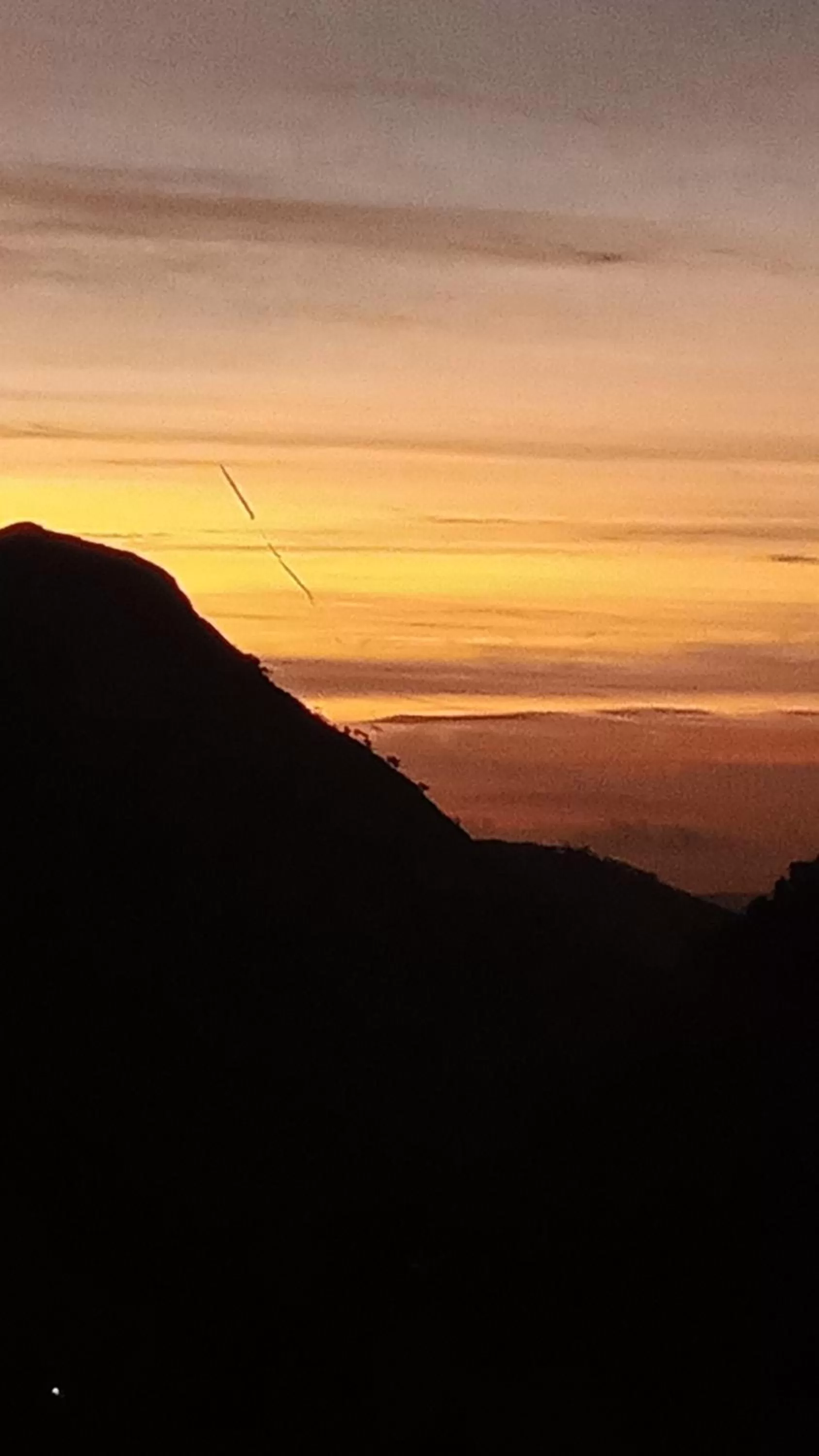 Ella Lucky Panoramic