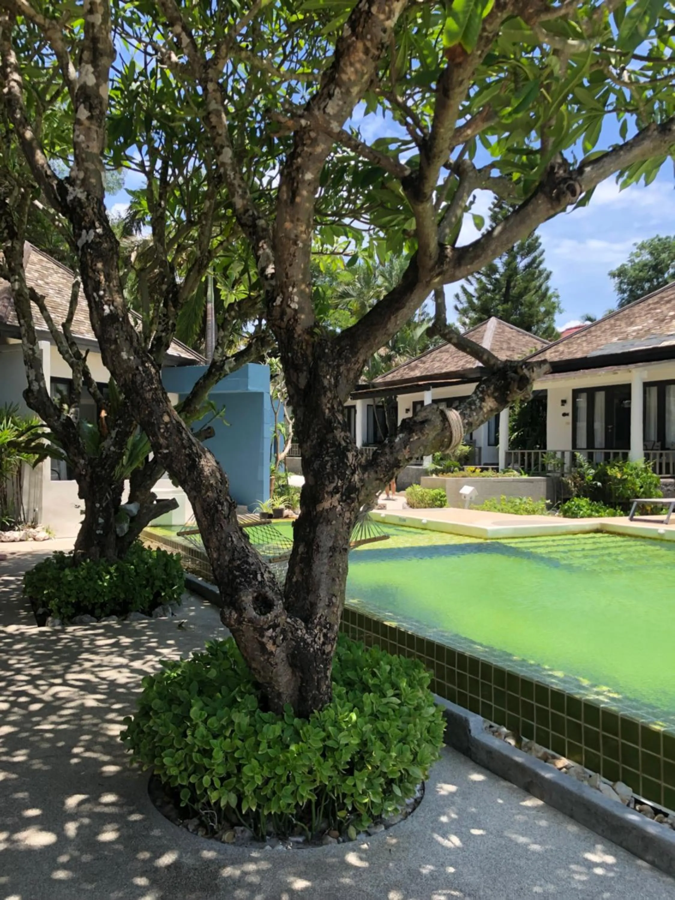 Natural landscape in Punnpreeda Beach Resort - SHA Plus Certified