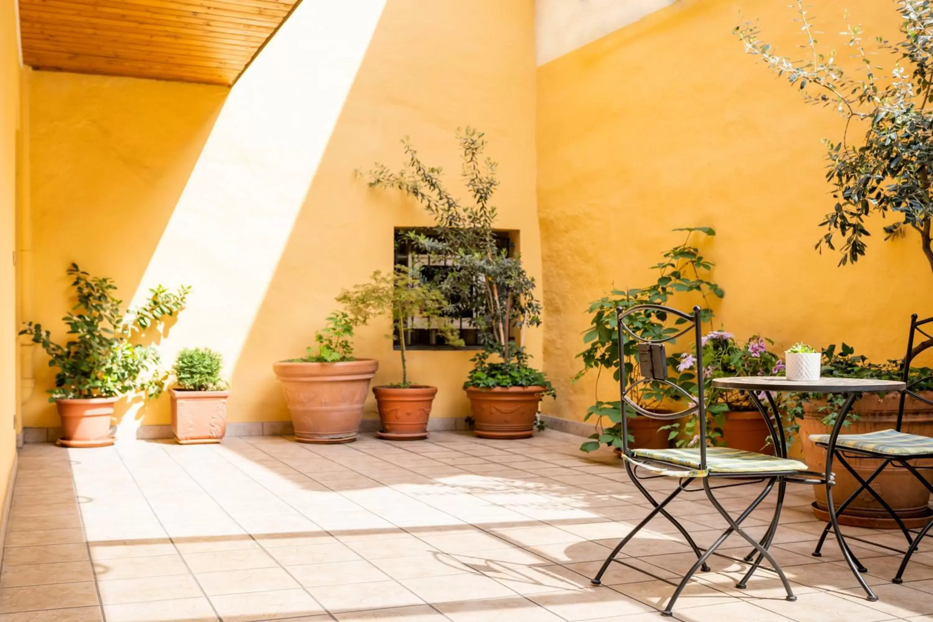 Patio in Feichter Hotel & Bistro