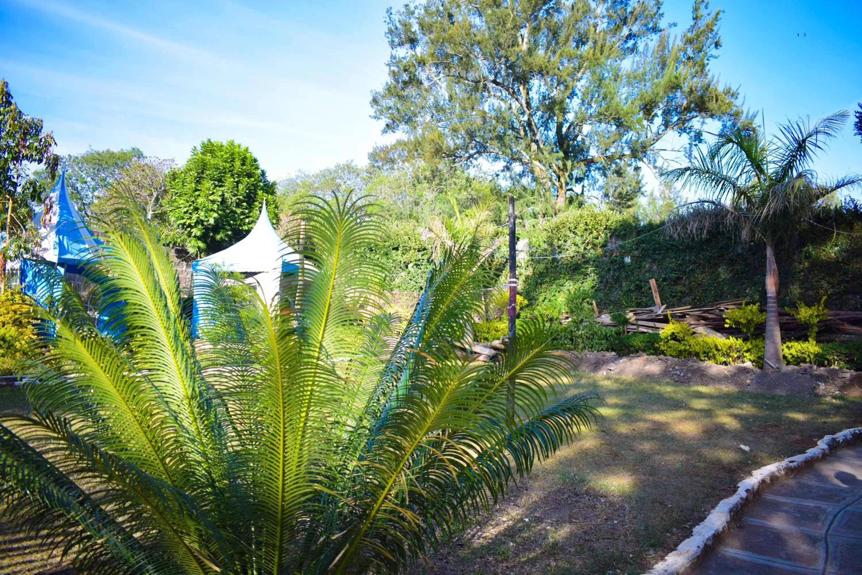 Vienna Woods Hotel Nakuru