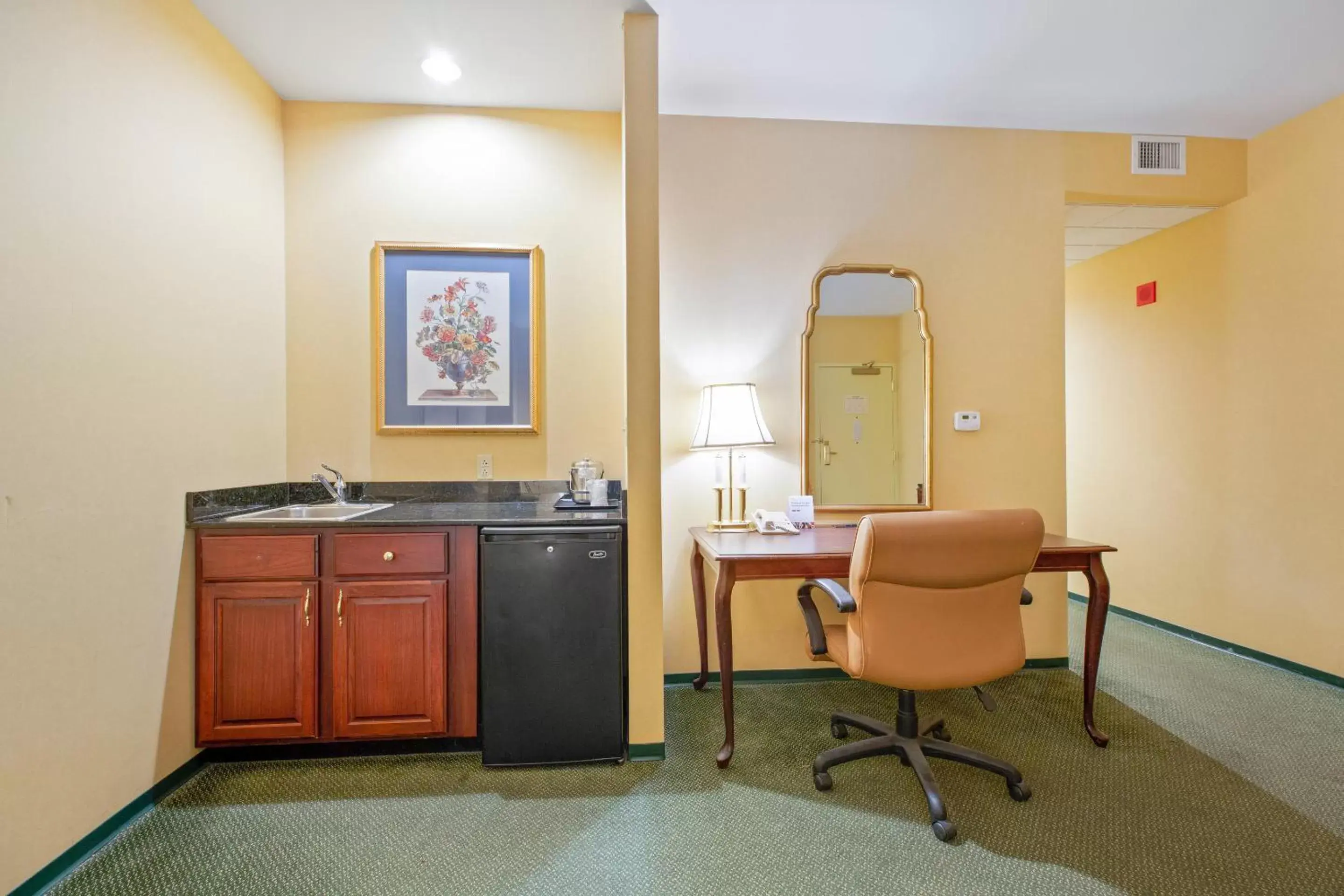 Area and facilities, Kitchen/Kitchenette in OYO Hotel St Louis Downtown City Center MO
