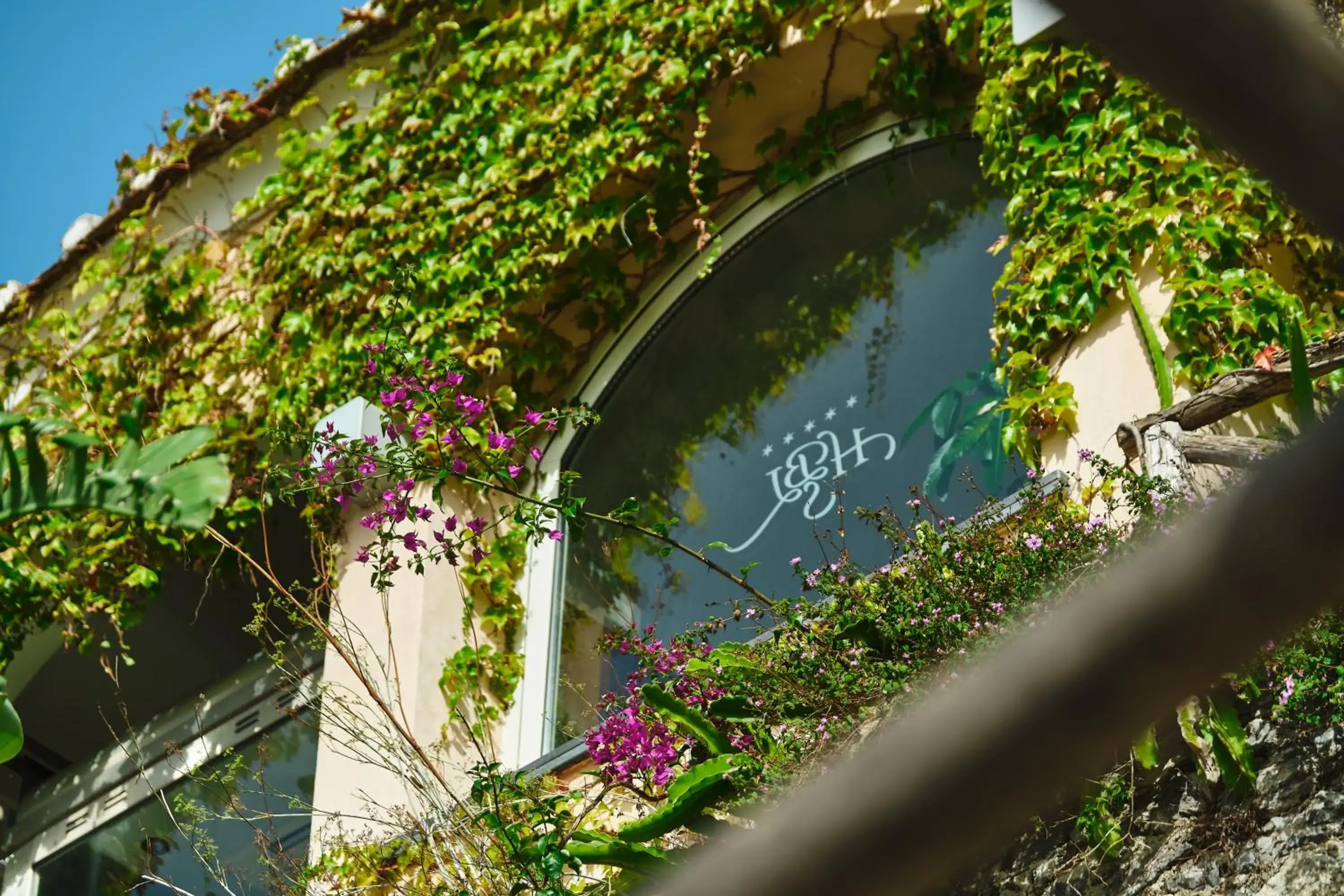 Facade/entrance in Hotel Botanico San Lazzaro