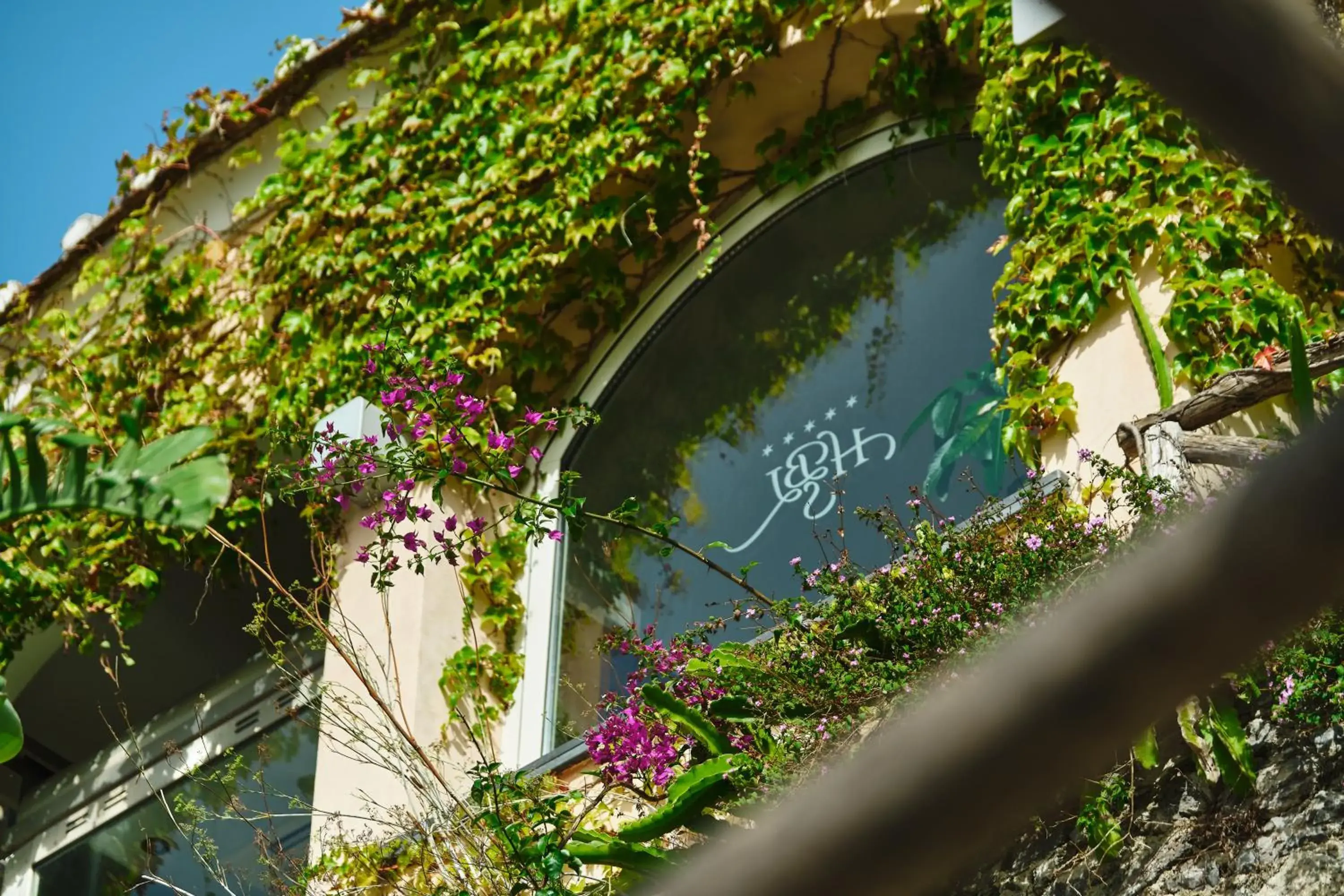 Facade/entrance in Hotel Botanico San Lazzaro Facade/entrance in Hotel Botanico San Lazzaro