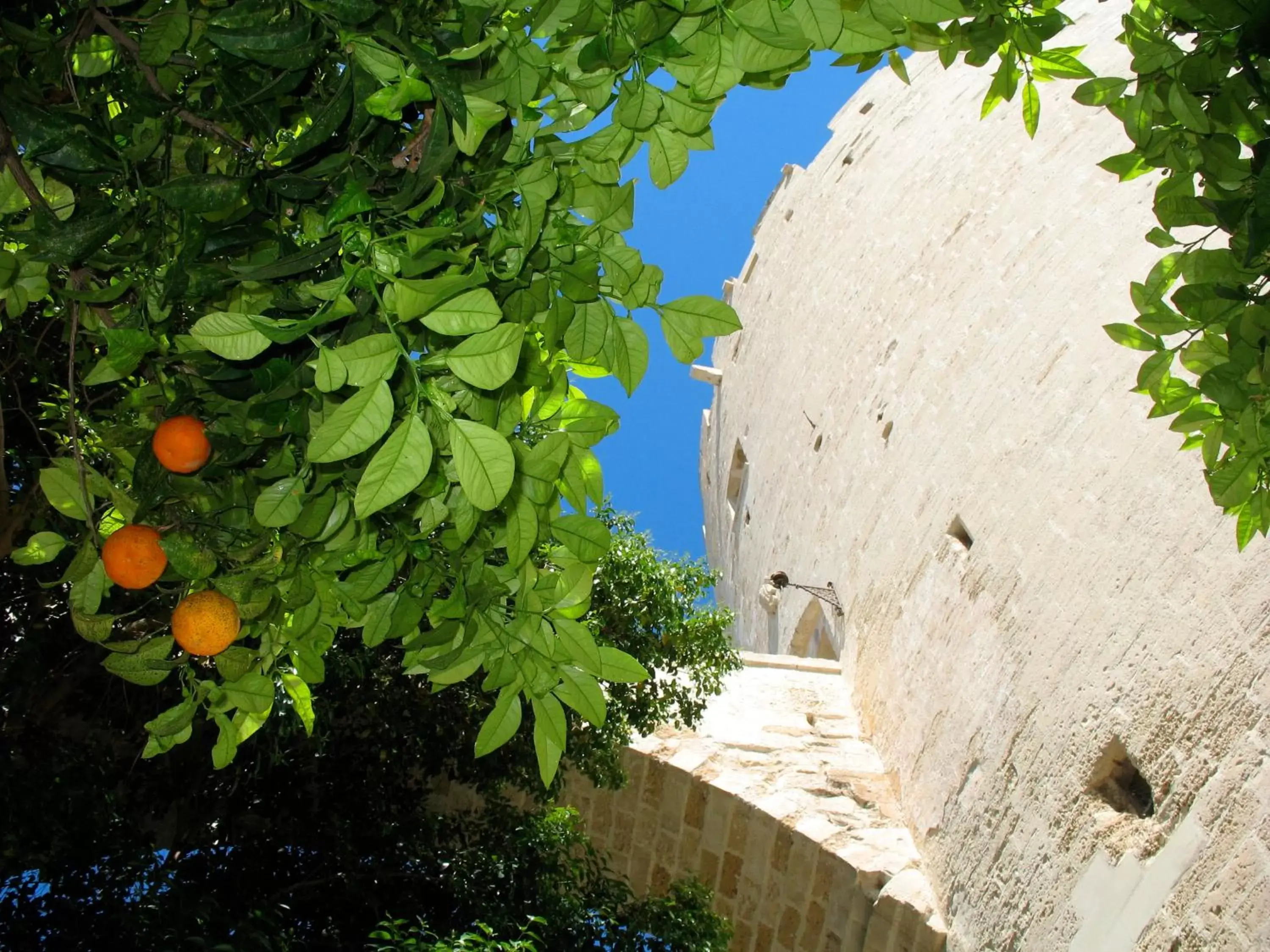 Garden in Dimora Storica Torre Del Parco 1419