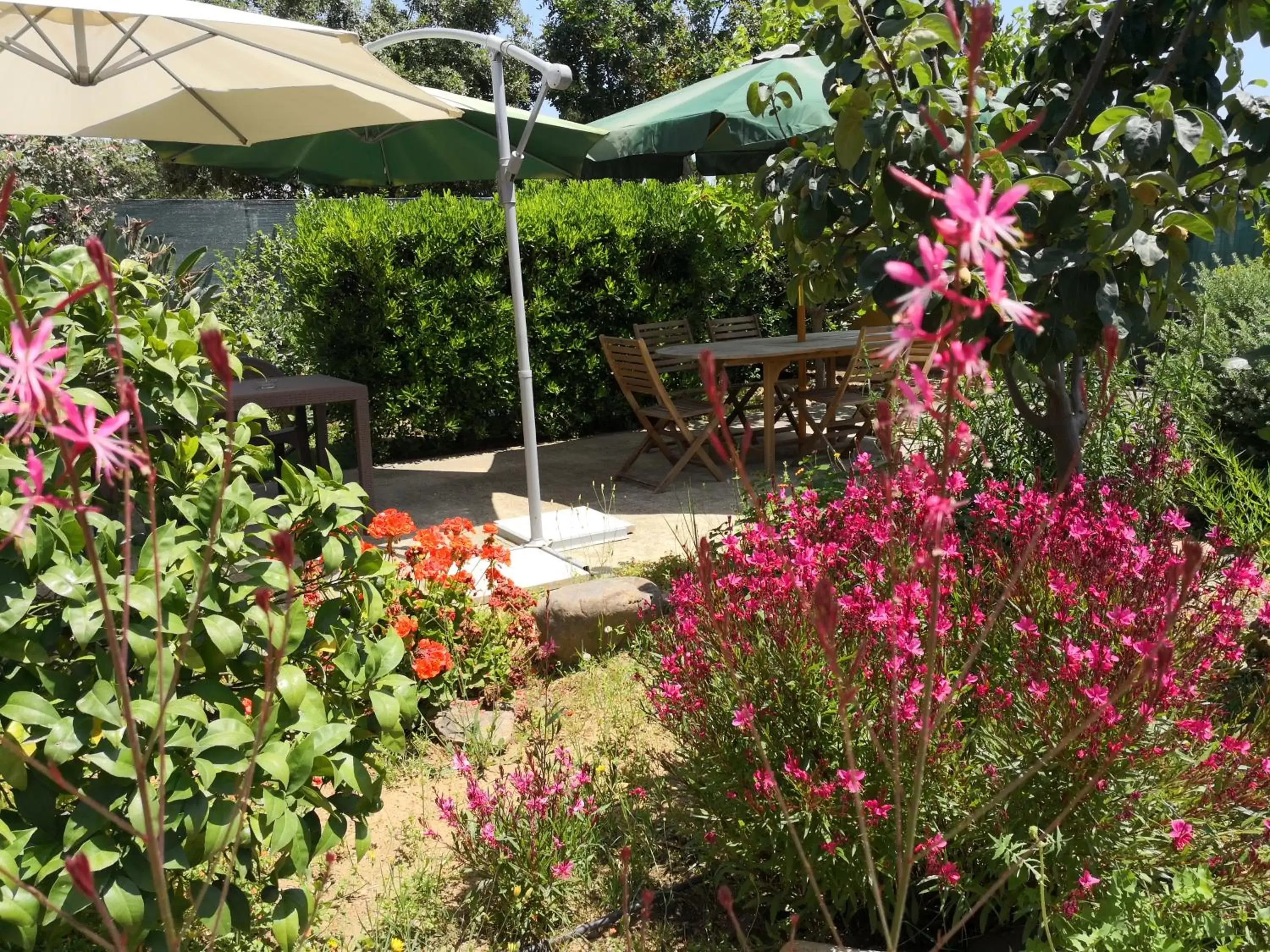 Facade/entrance, Garden in B&B Gassa d'Amante