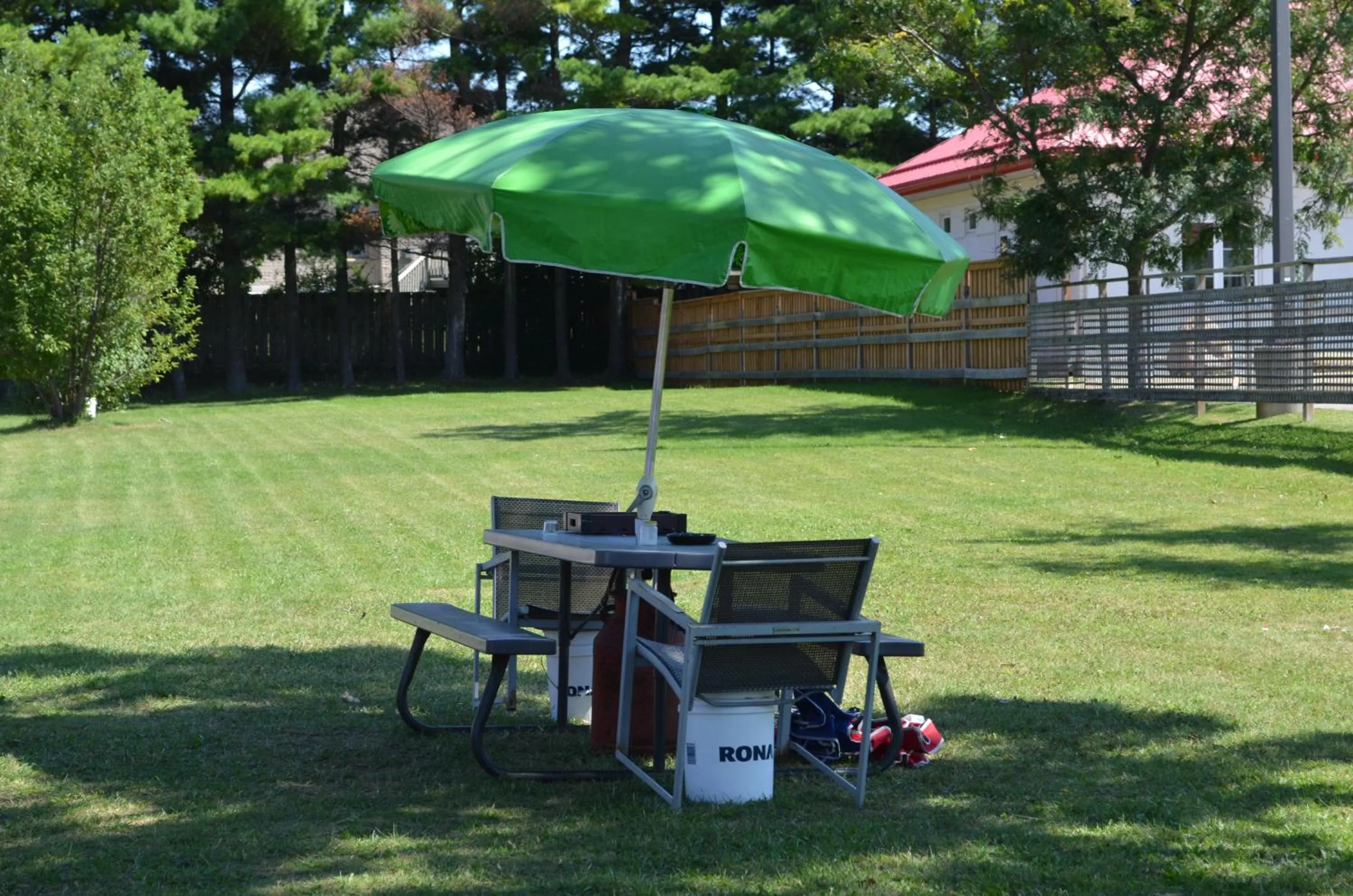 Garden in Studio 1 Motel