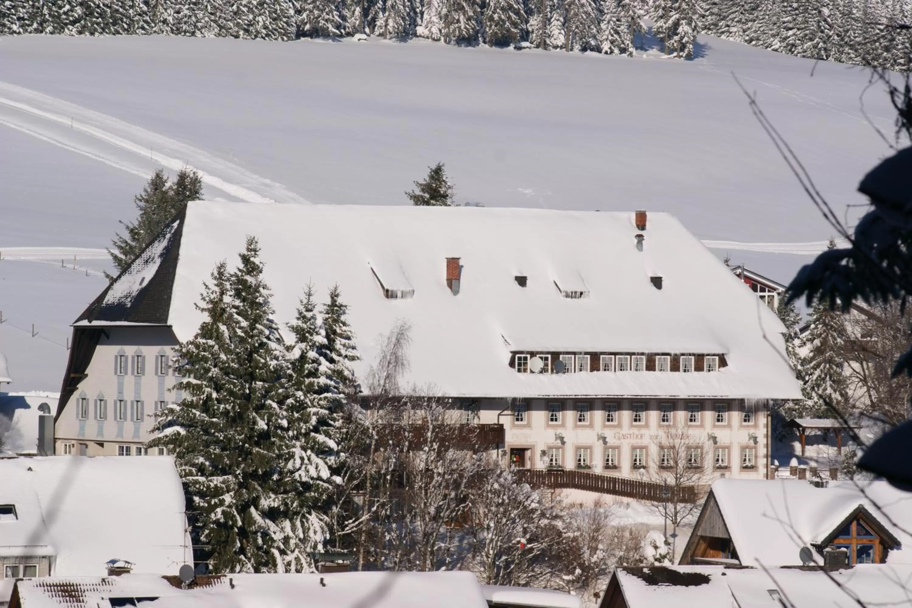 Property building in ZUR TRAUBE Schwarzwaldhotel & Restaurant am Titisee