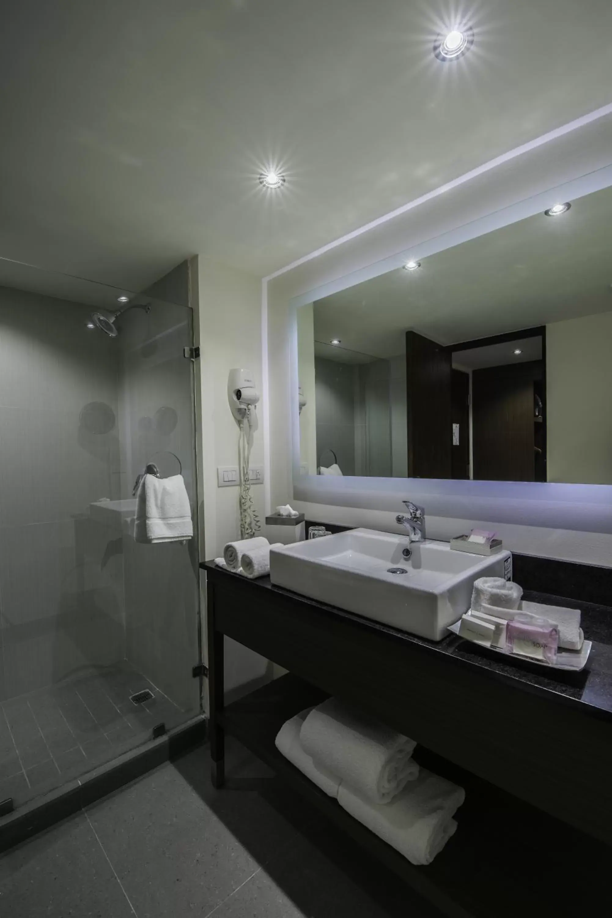 Bathroom in Holiday Inn Guadalajara Expo Plaza del Sol by IHG Bathroom in Holiday Inn Guadalajara Expo Plaza del Sol by IHG