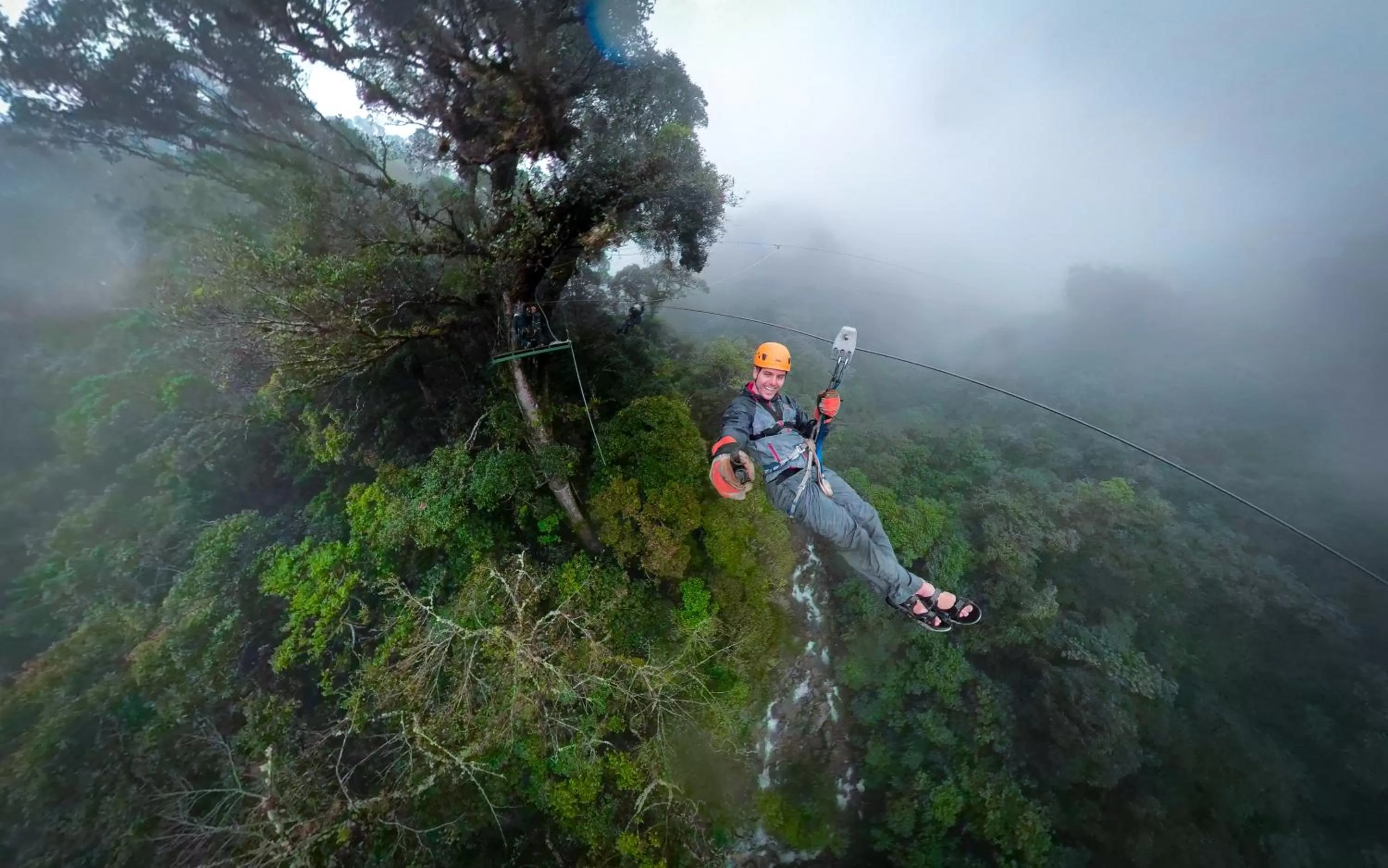 Activities in TREE TREK BOQUETE Adventure Park