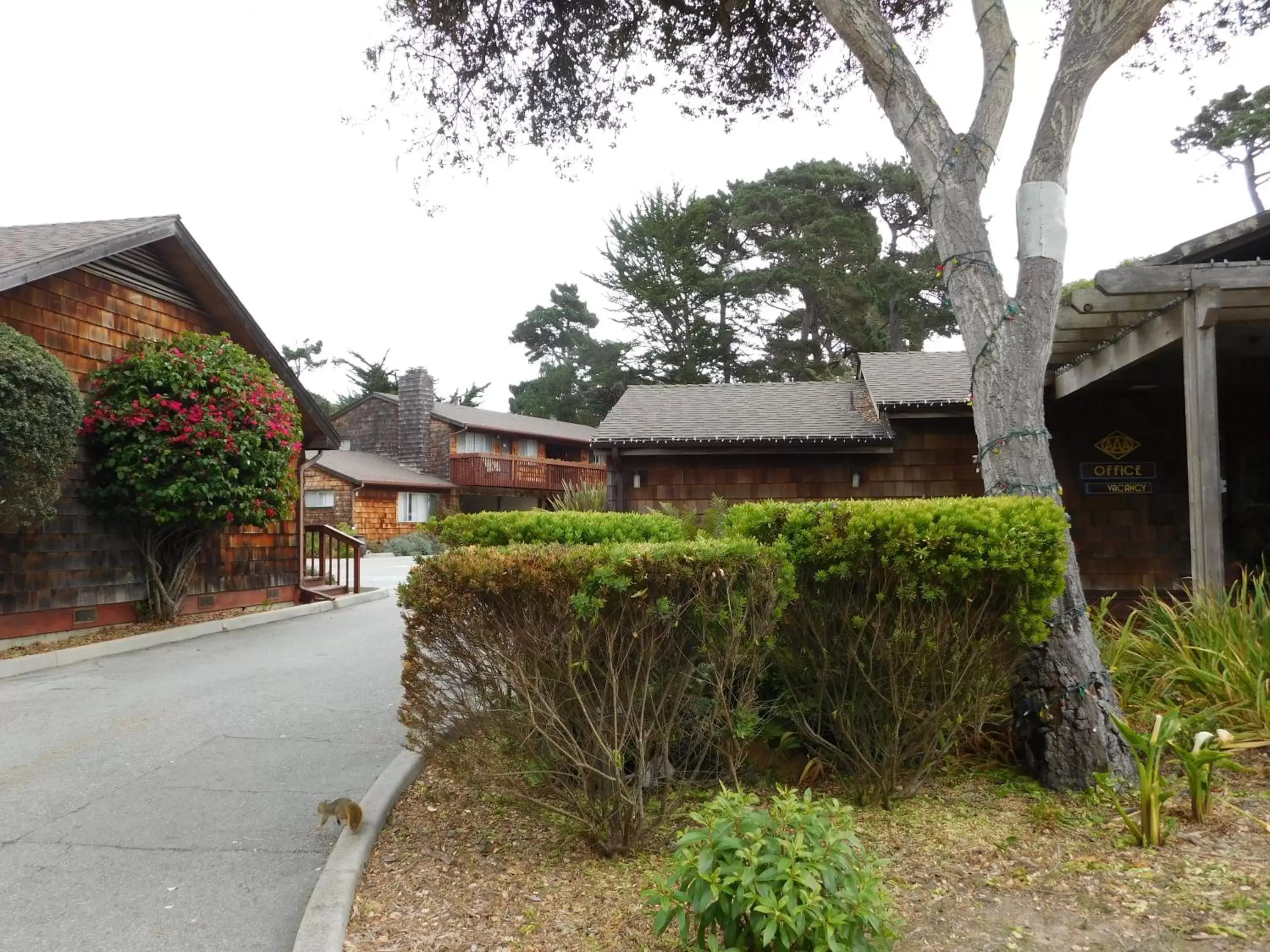 Property Building in Pacific Gardens Inn