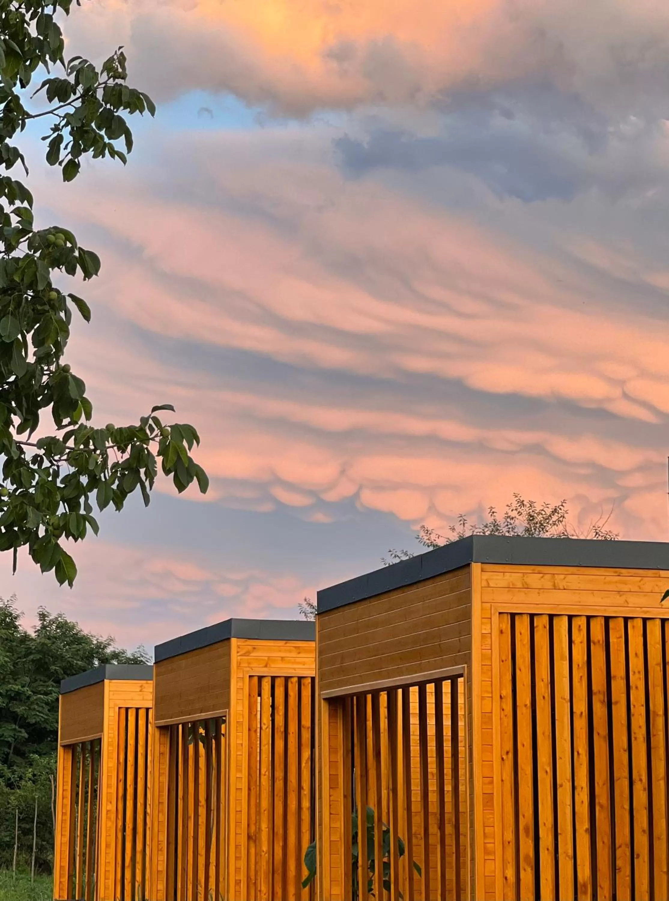 Property building in Chubini Winery & Cabins