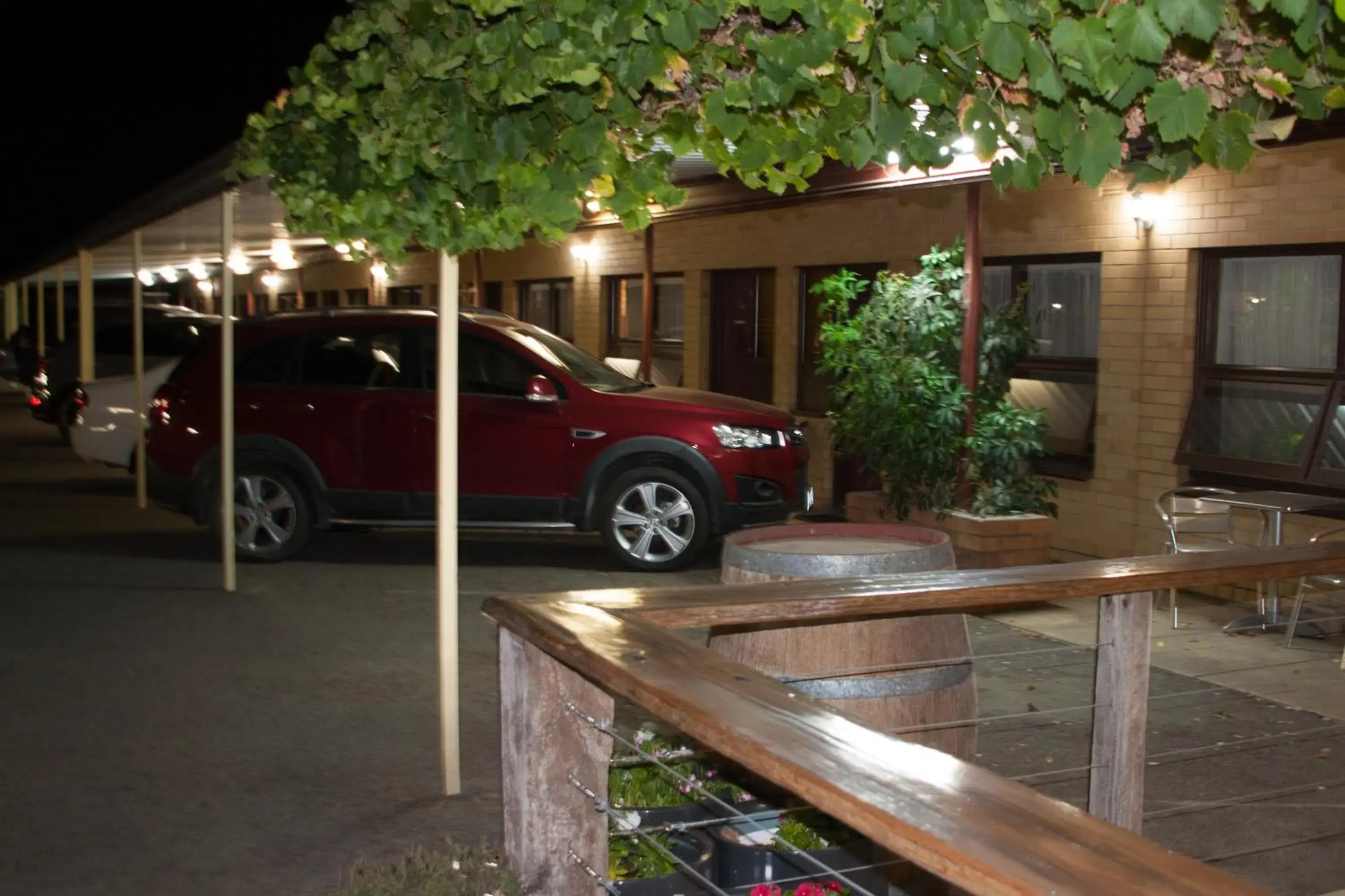 Area and facilities in Angaston Vineyards Motel