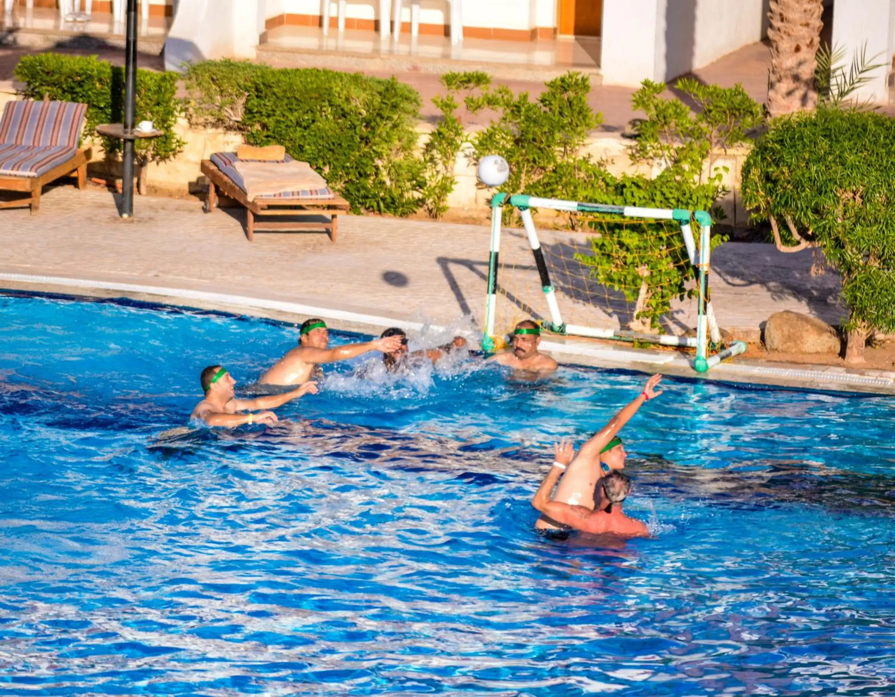 Swimming Pool in Dive Inn Resort