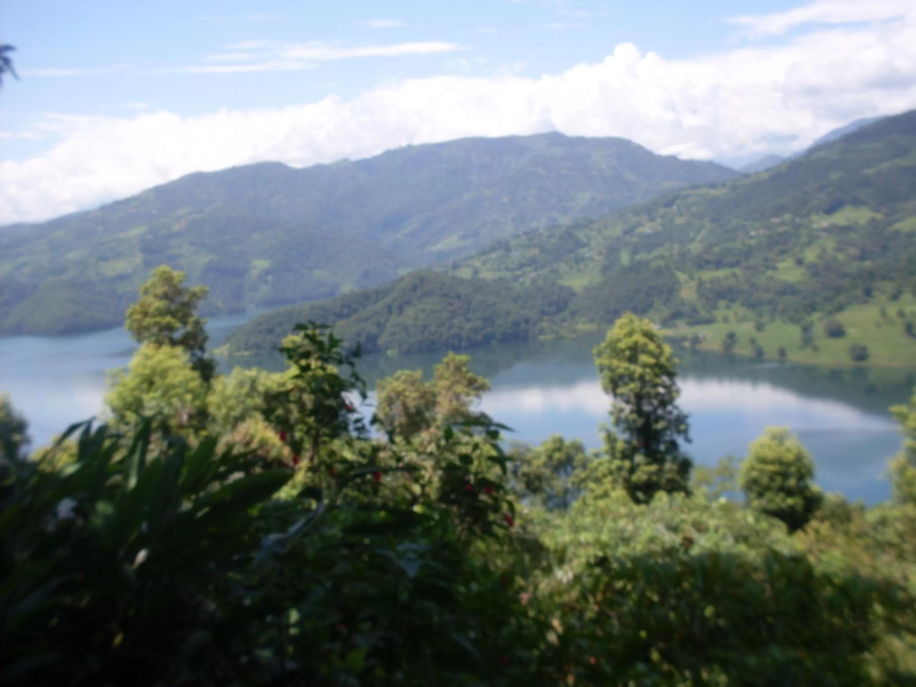 Natural Landscape in Dinesh House