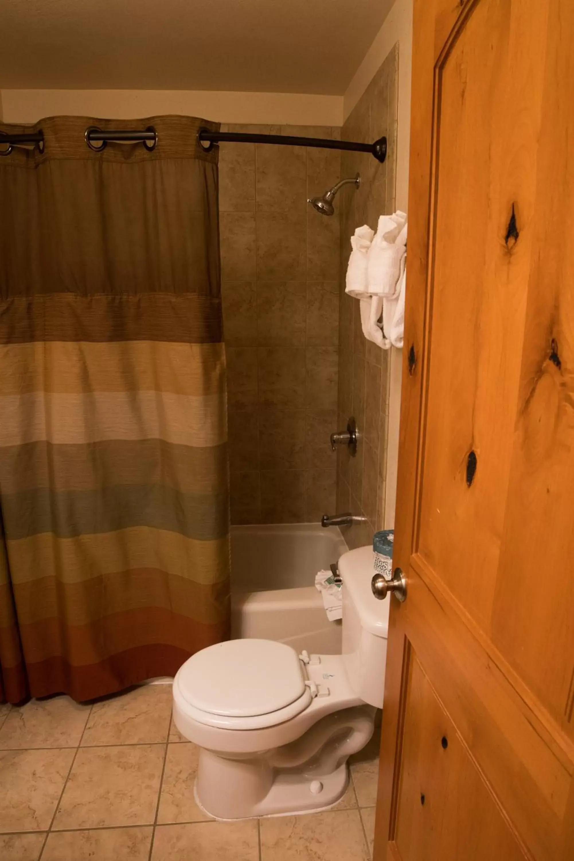 Shower, Bathroom in Silver Moon Inn