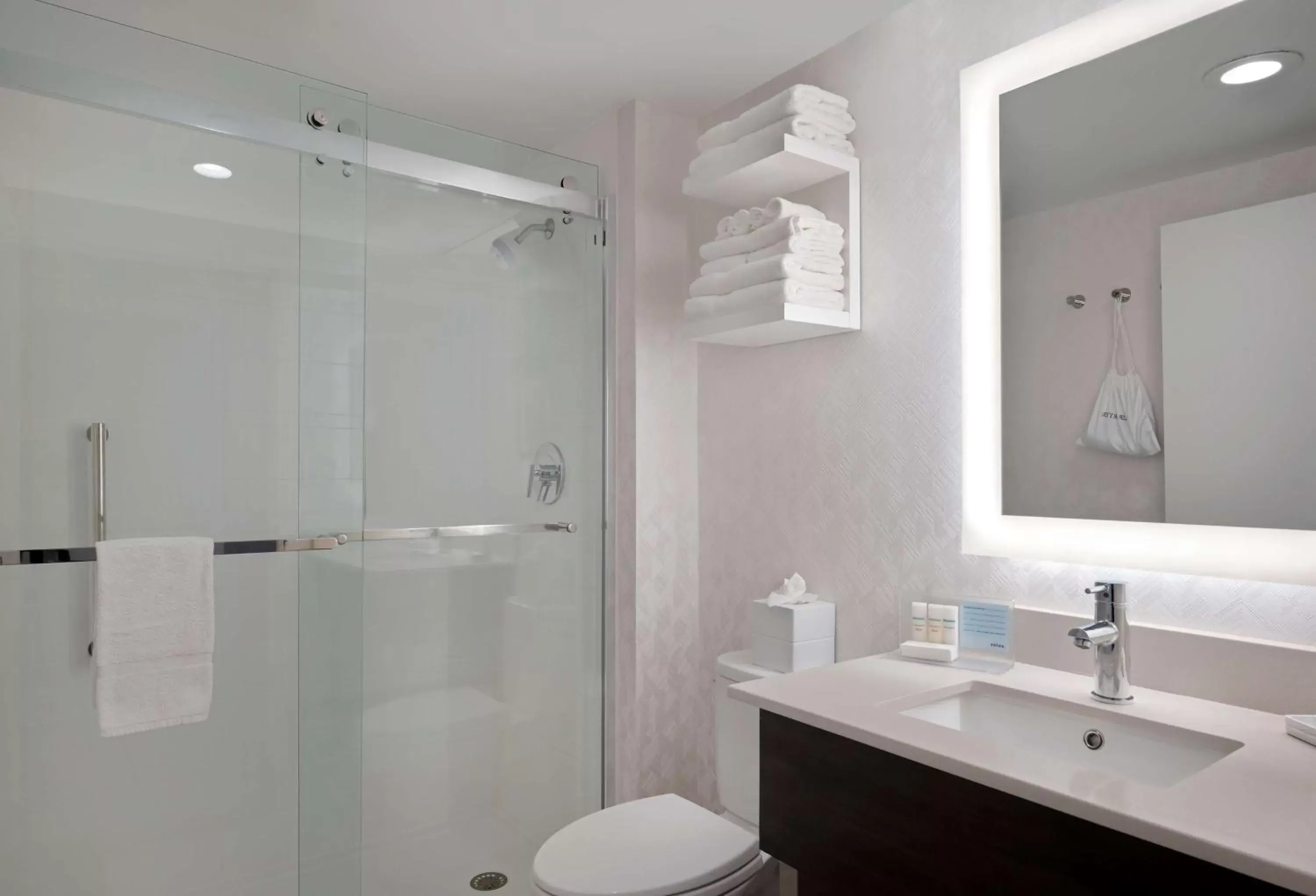 Bathroom in Hampton Inn by Hilton Boston/Cambridge
