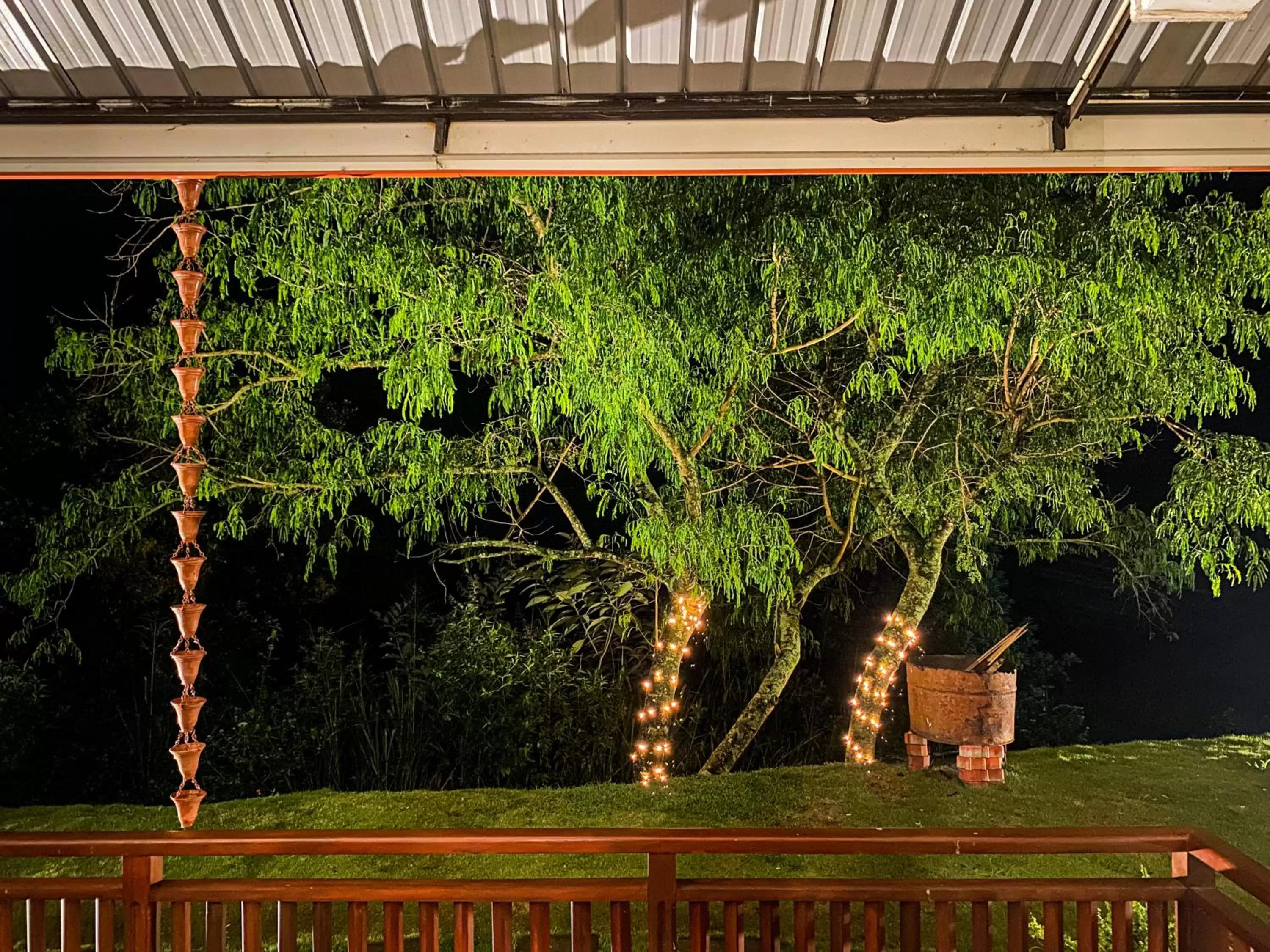 Night in Hotel Levon Ella