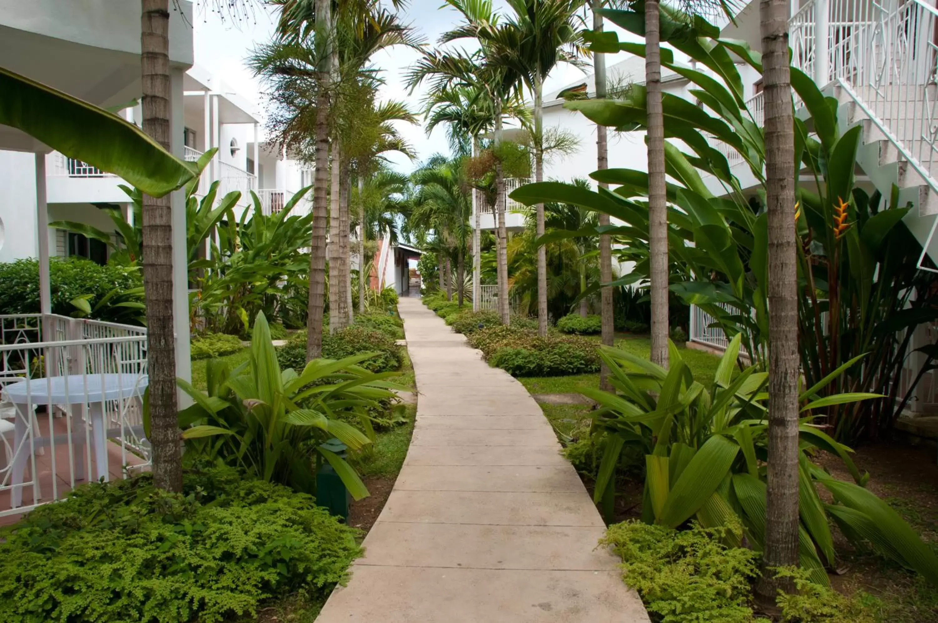 Garden in Negril Palms