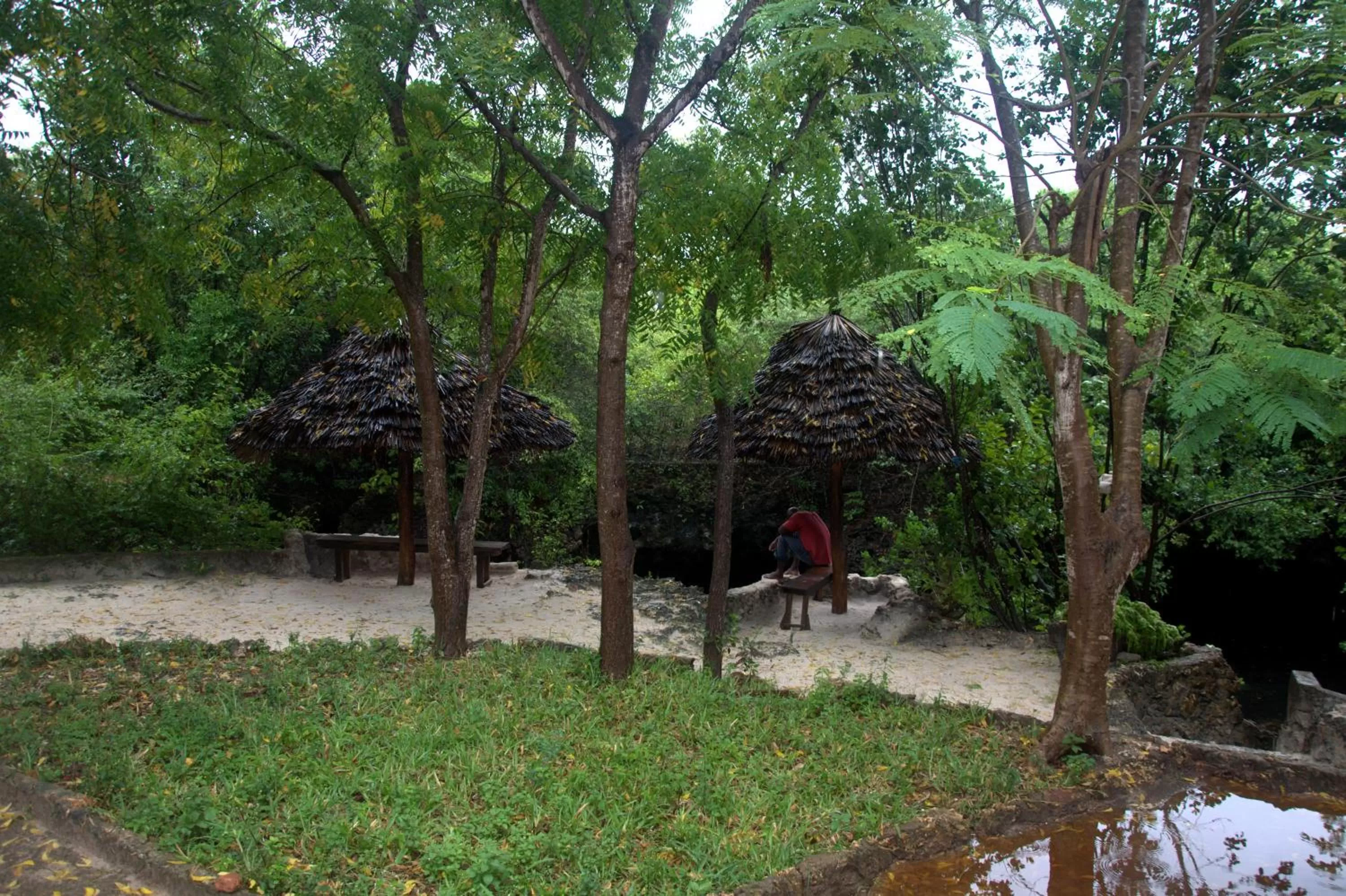 Garden in Baraka Aquarium Bungalows