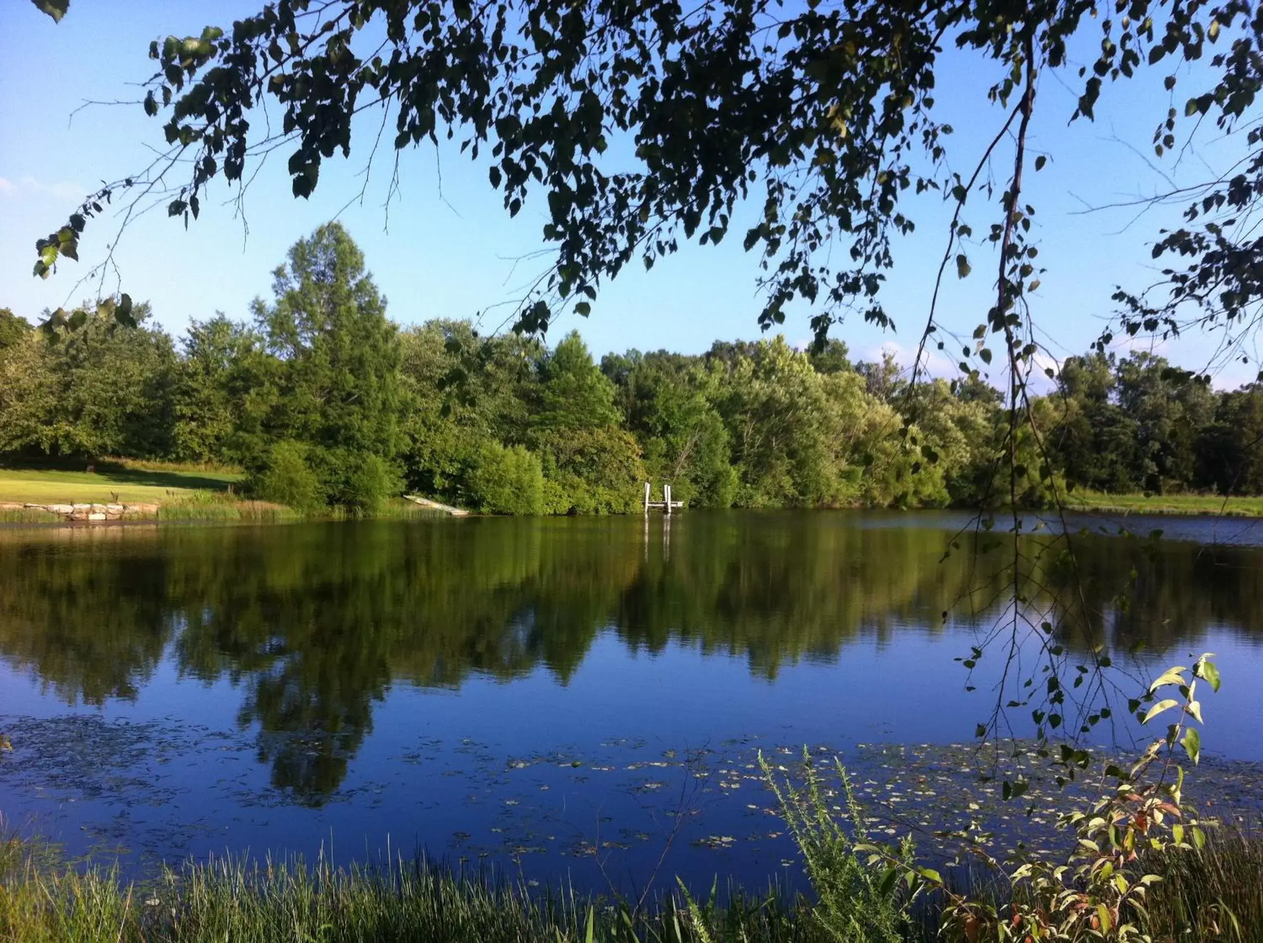 Lake view in Cedar Creek