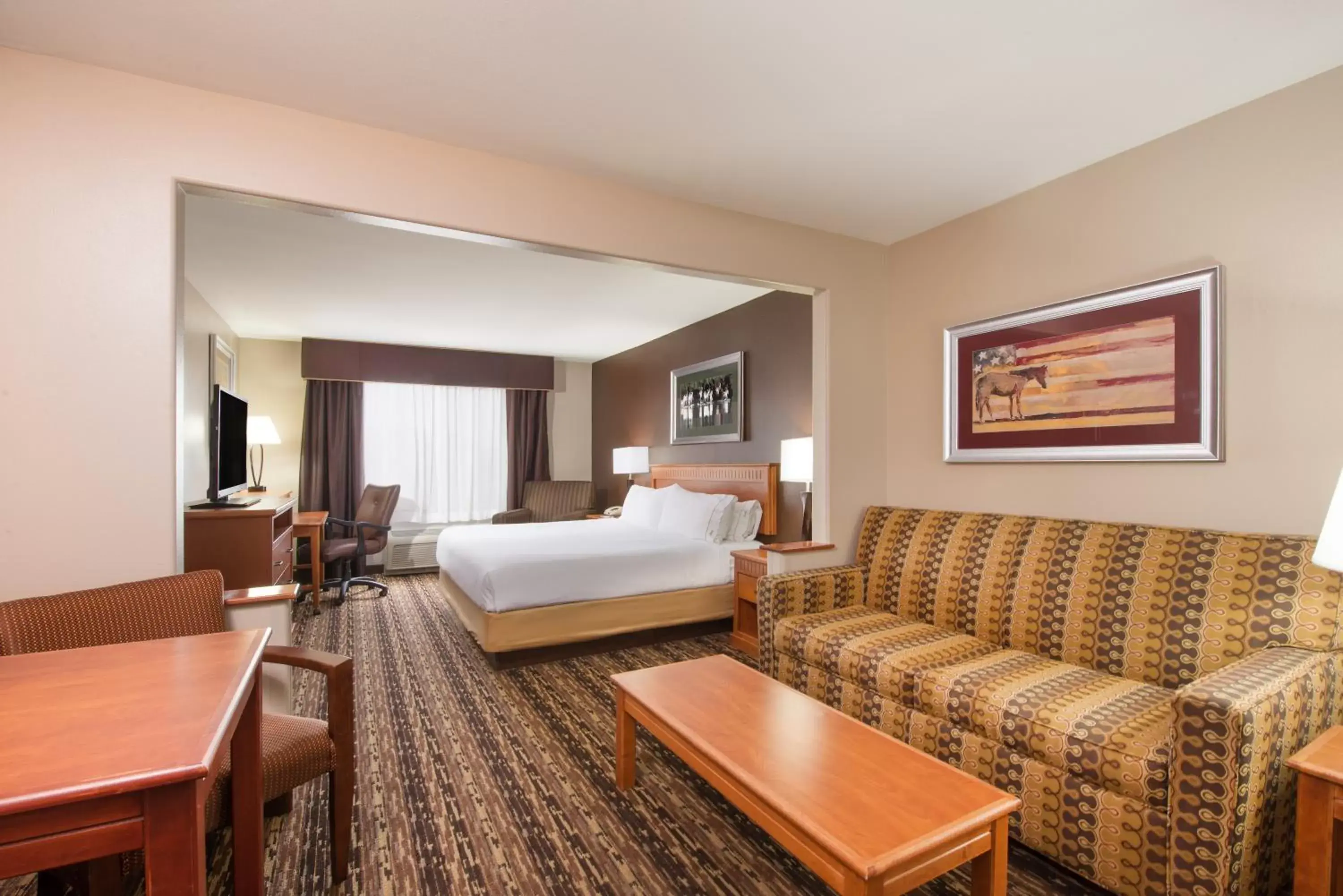 Photo of the whole room in Holiday Inn Express & Suites Douglas, an IHG Hotel