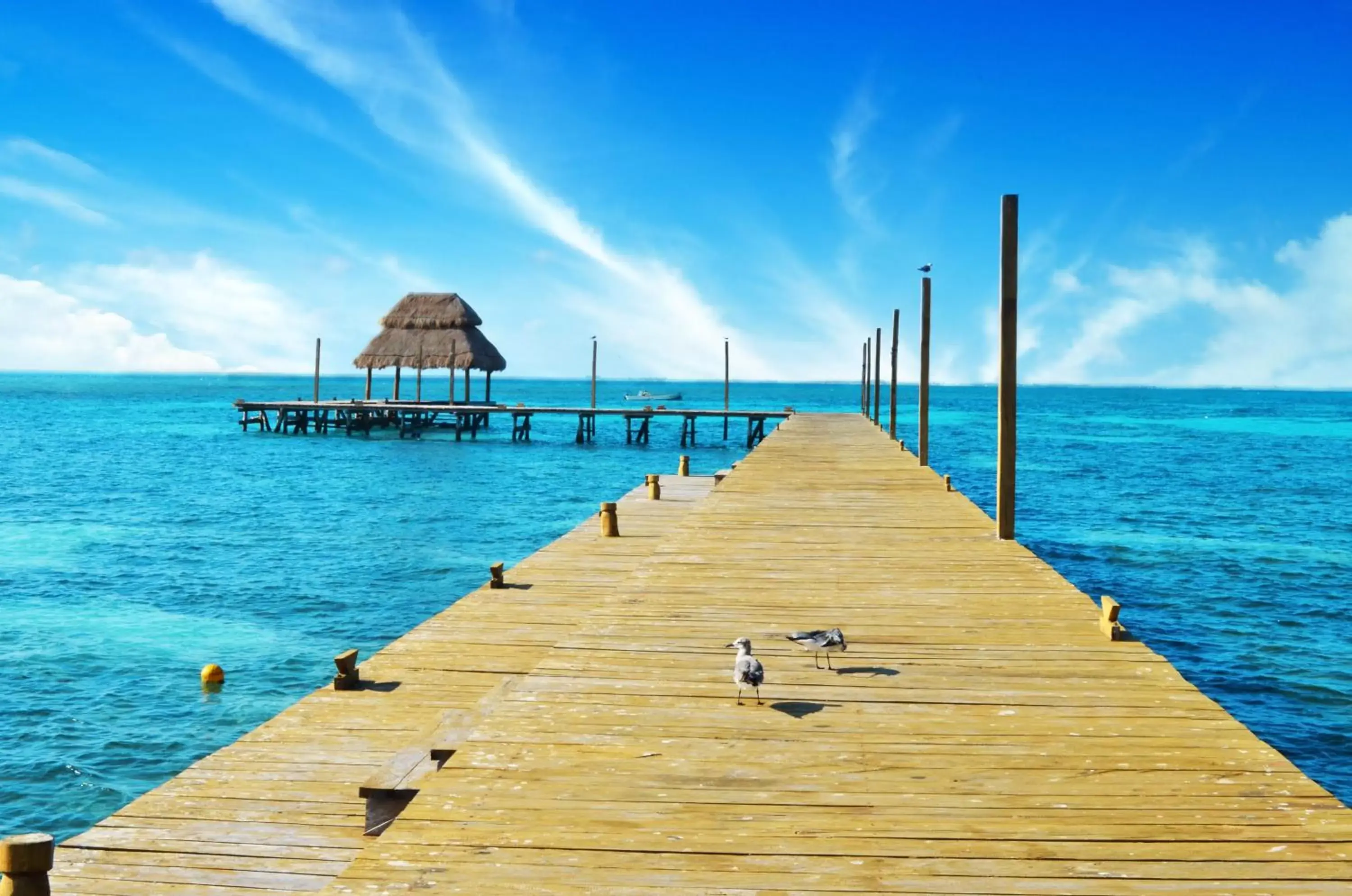 Mia Reef Isla Mujeres - All Inclusive Resort Mia Reef Isla Mujeres - All Inclusive Resort