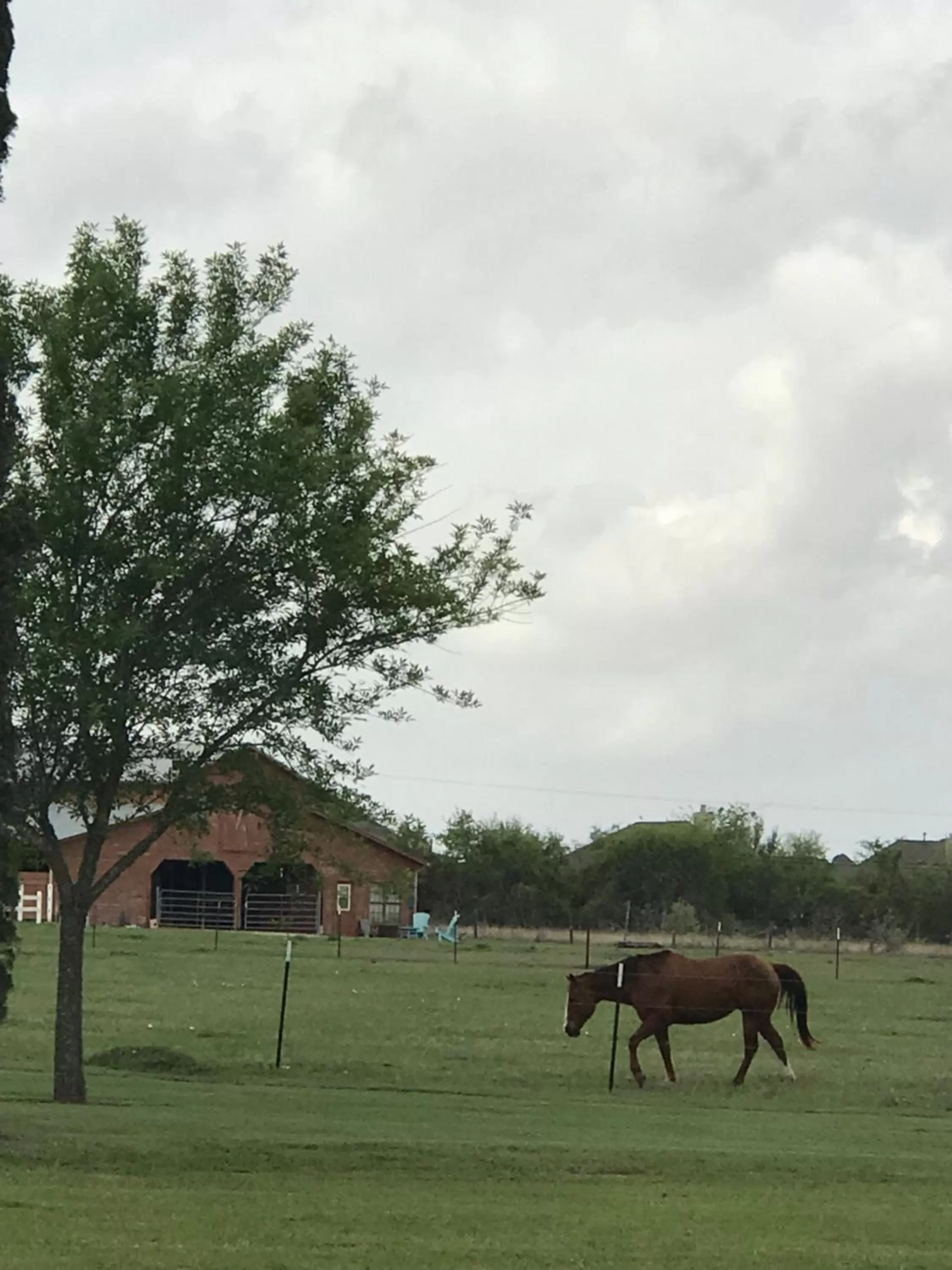 The Plantation House Boutique Inn