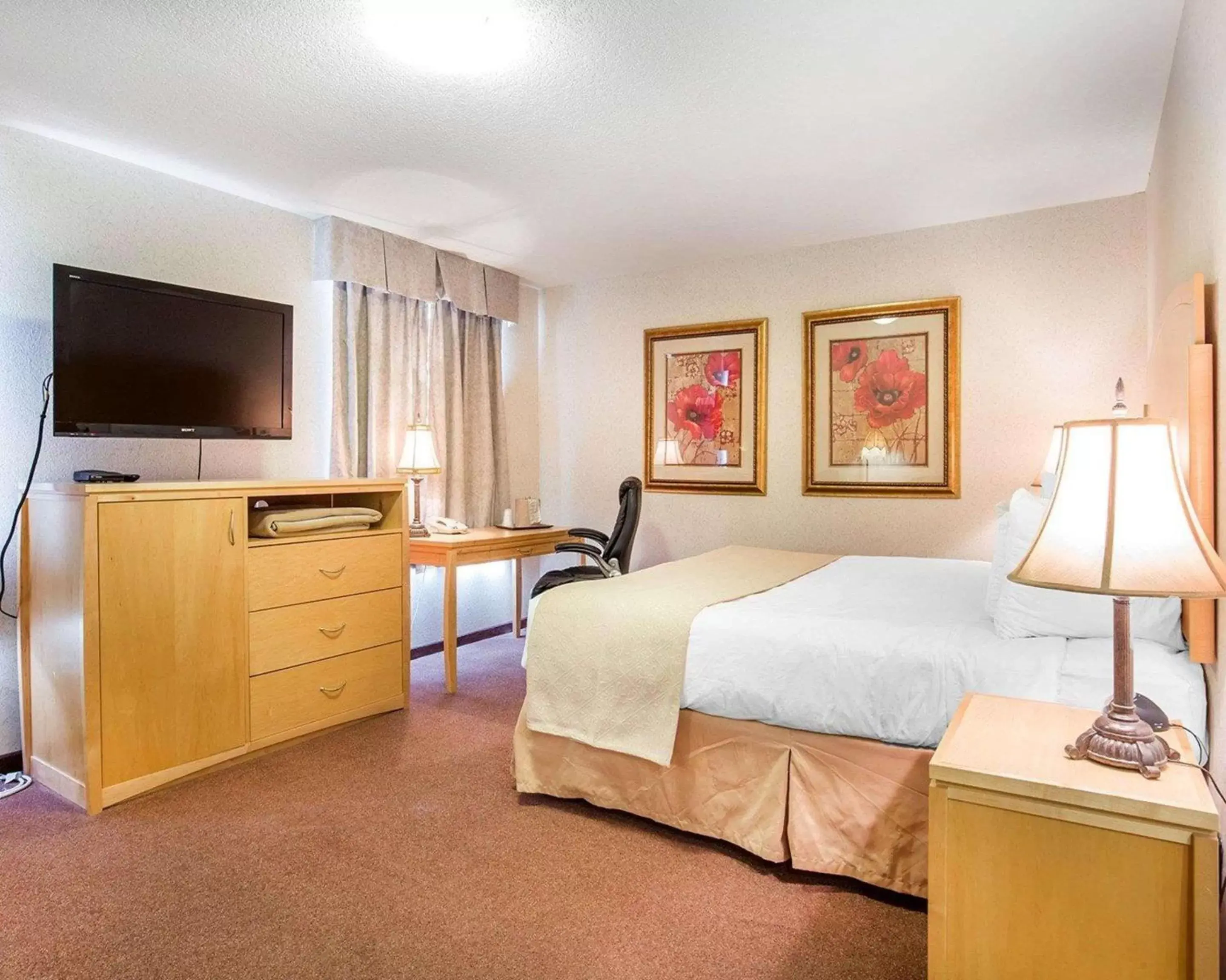 Photo of the whole room, Bed in Quality Inn & Suites Lethbridge