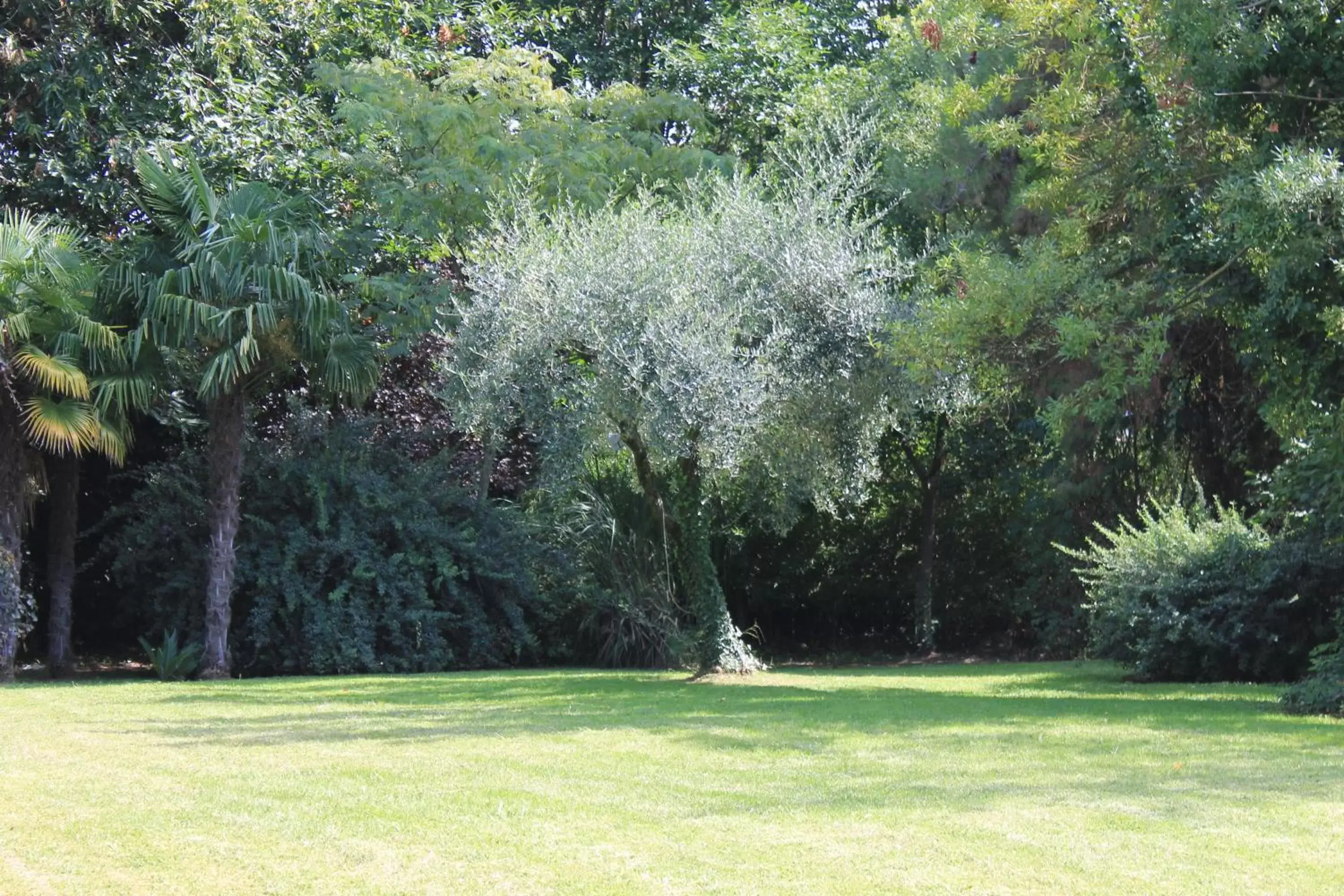 Garden in Villa Abbamer
