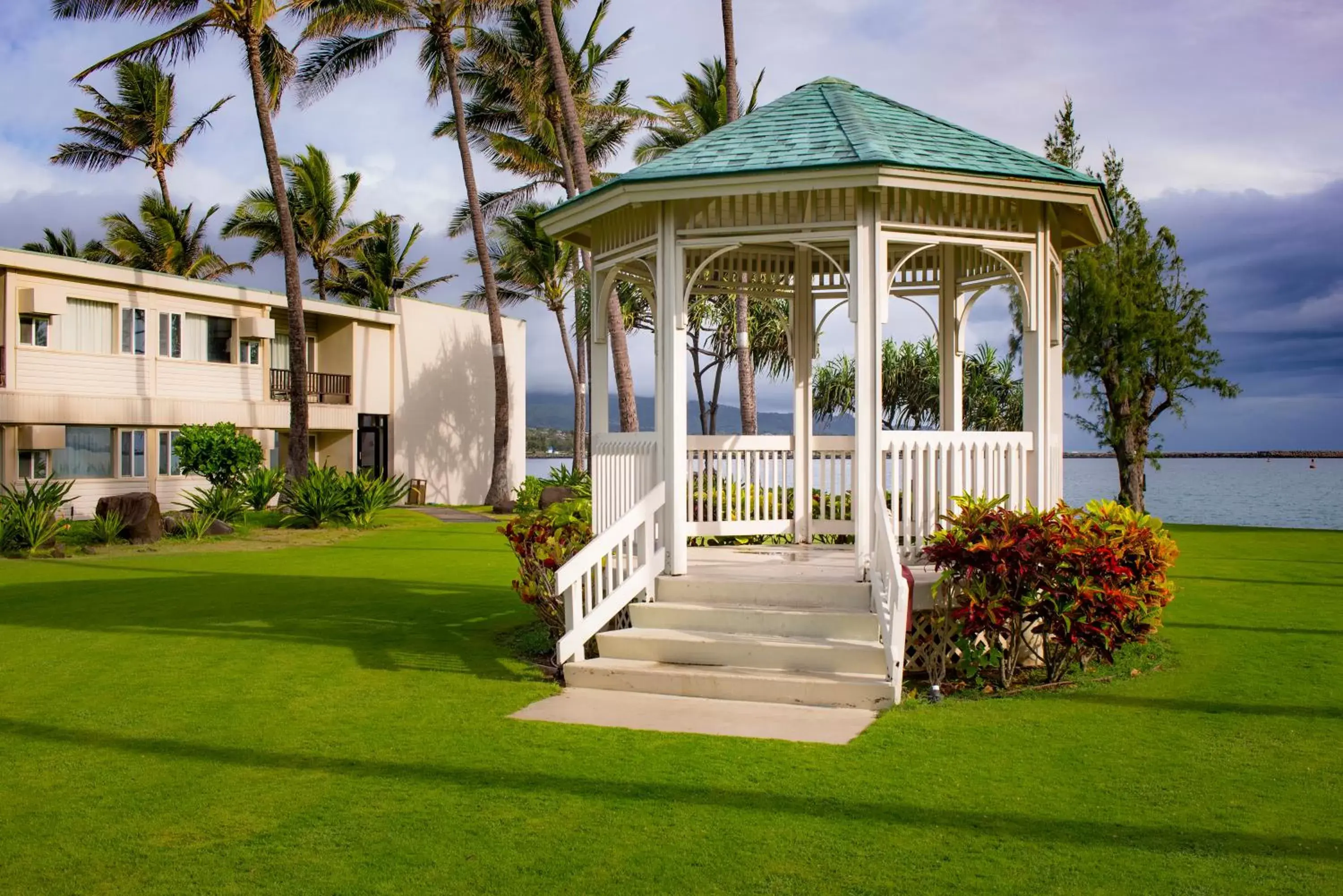 Natural landscape, Patio/Outdoor Area in Maui Beach Hotel