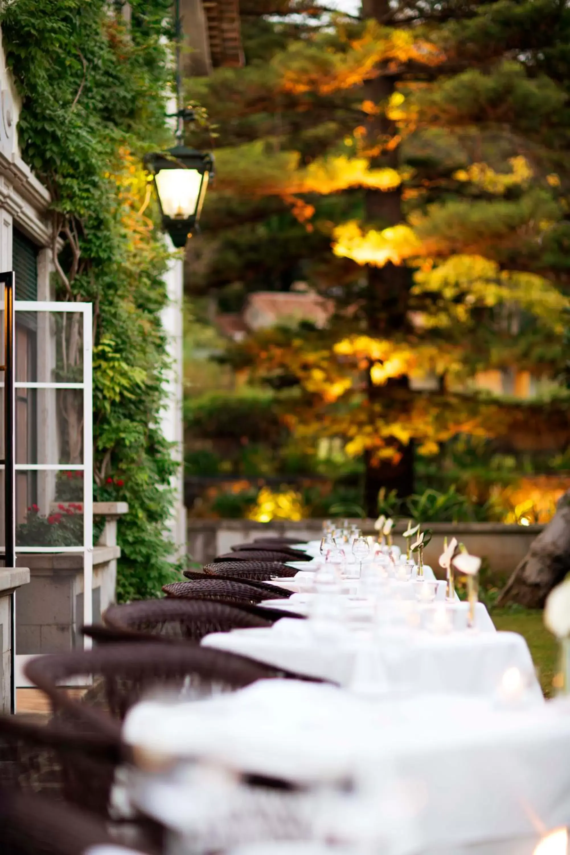 Restaurant/places to eat in Quinta da Casa Branca - Small Luxury Hotels of the World Restaurant/places to eat in Quinta da Casa Branca - Small Luxury Hotels of the World