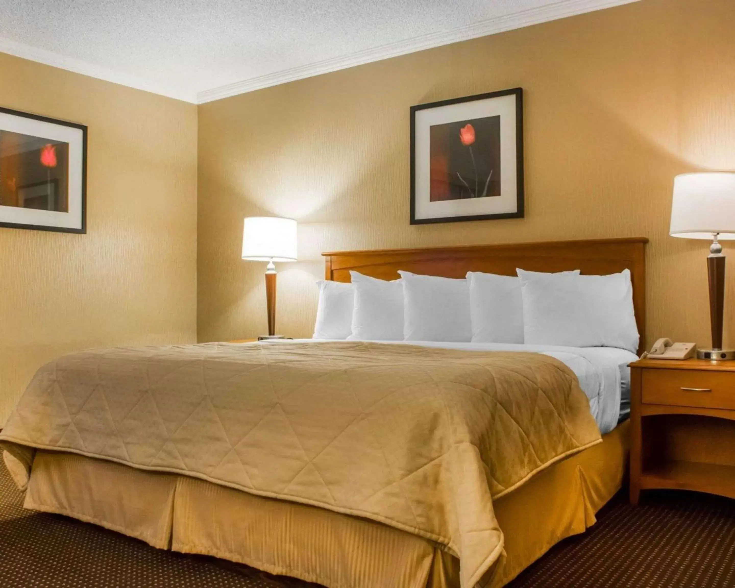 Photo of the whole room, Bed in Clarion Hotel & Suites Riverfront Oswego