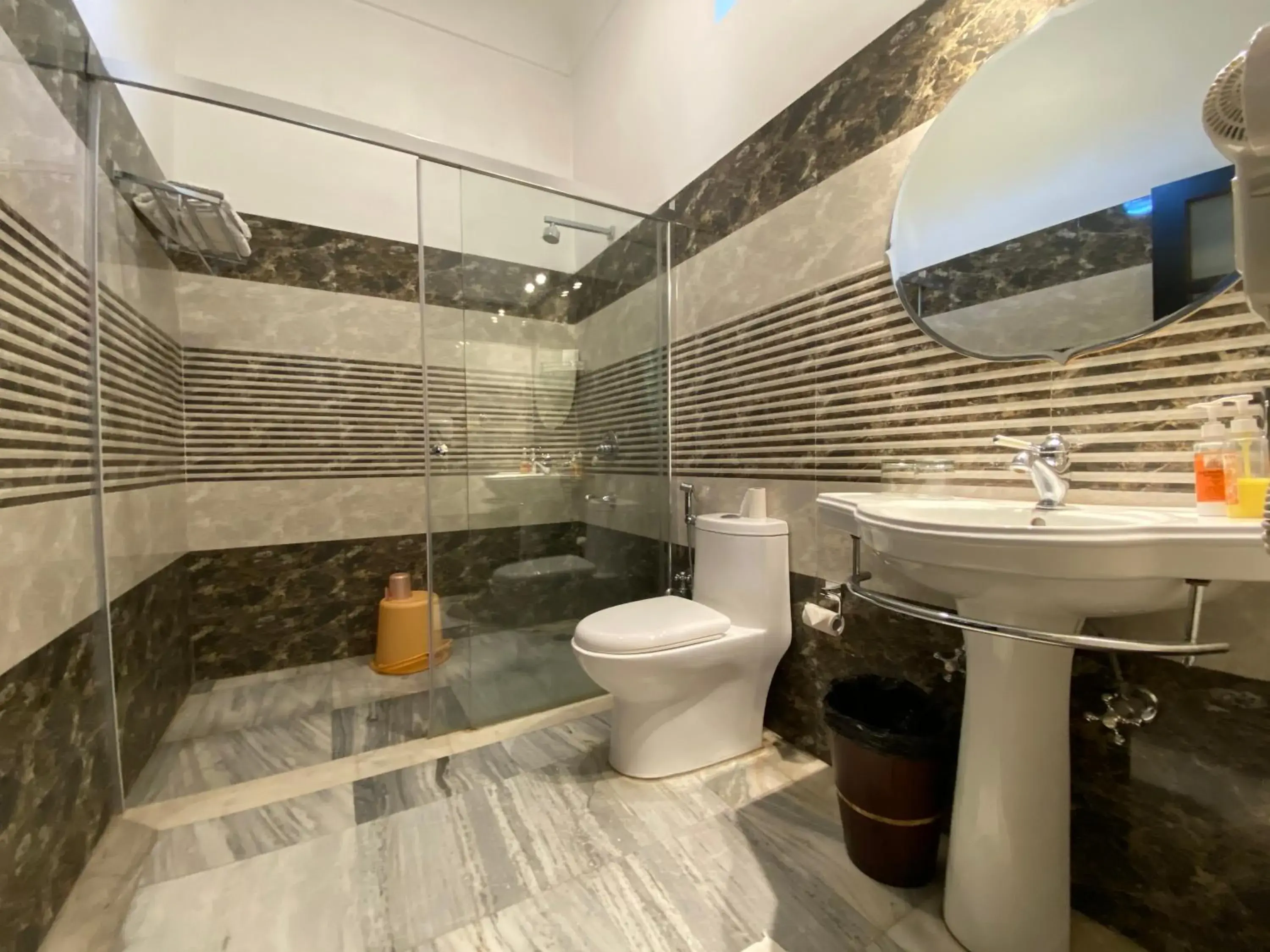 Shower, Bathroom in Hotel Narain Niwas Palace