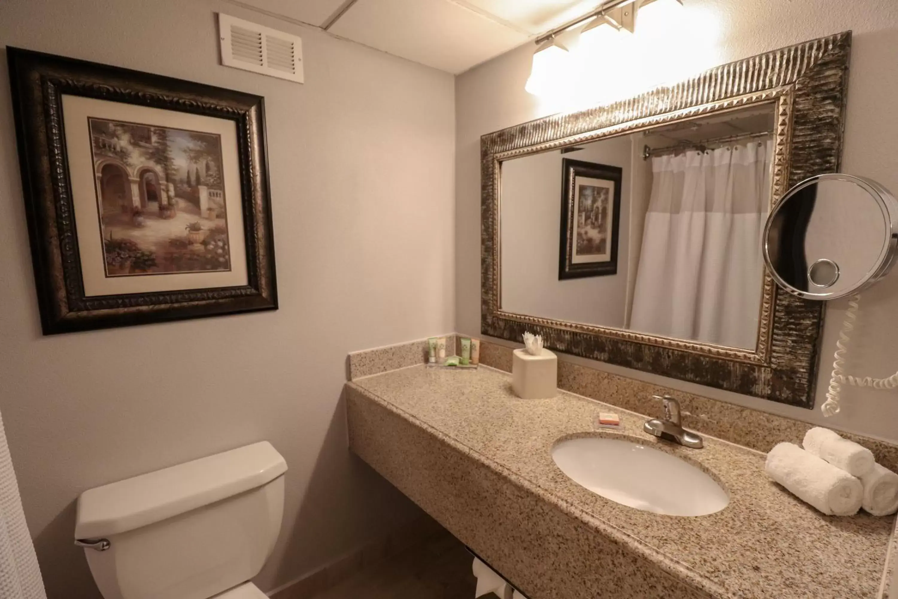 Bathroom in Wyndham Houston near NRG Park - Medical Center