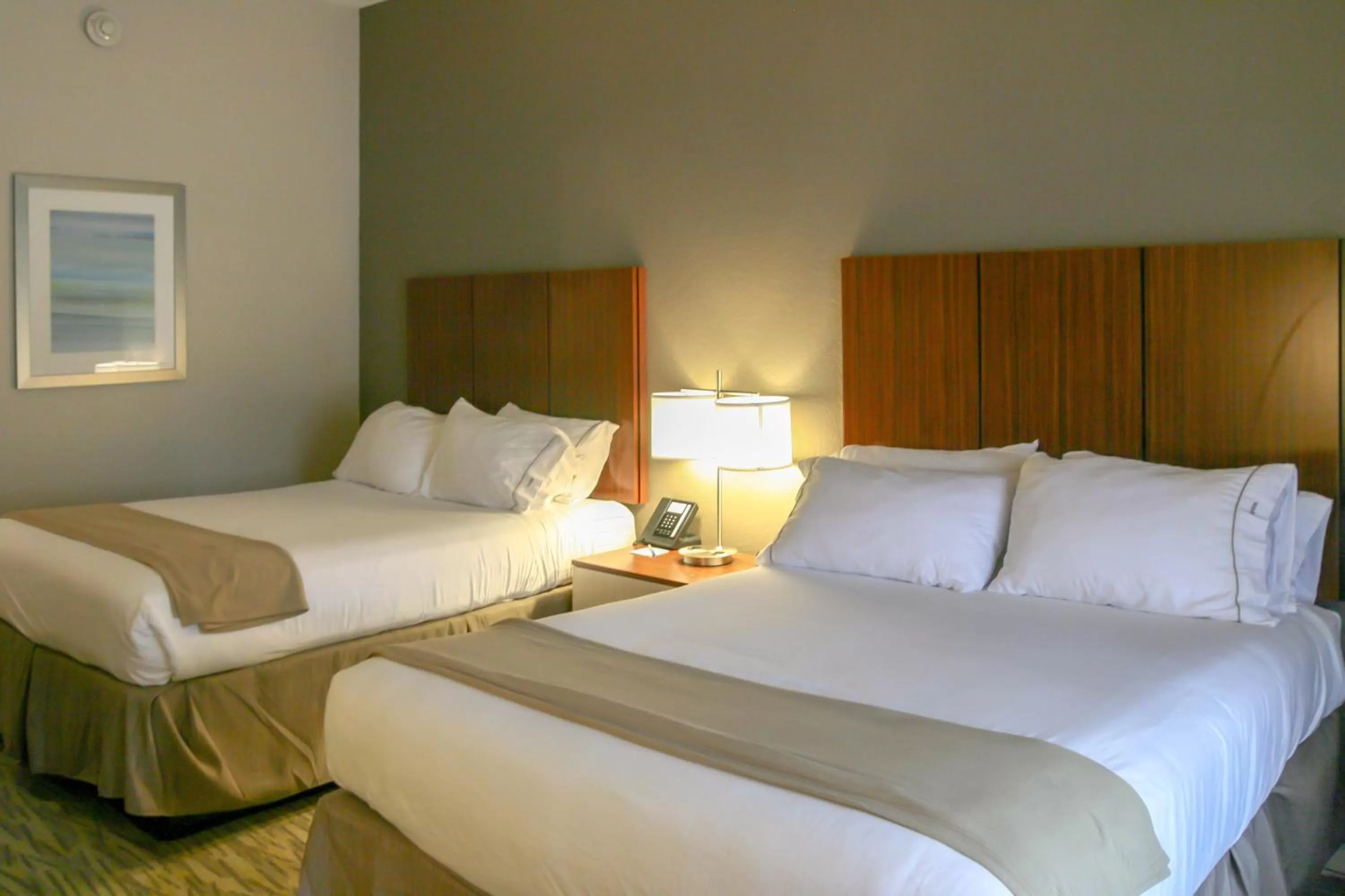 Photo of the whole room, Bed in Holiday Inn Express Vicksburg by IHG