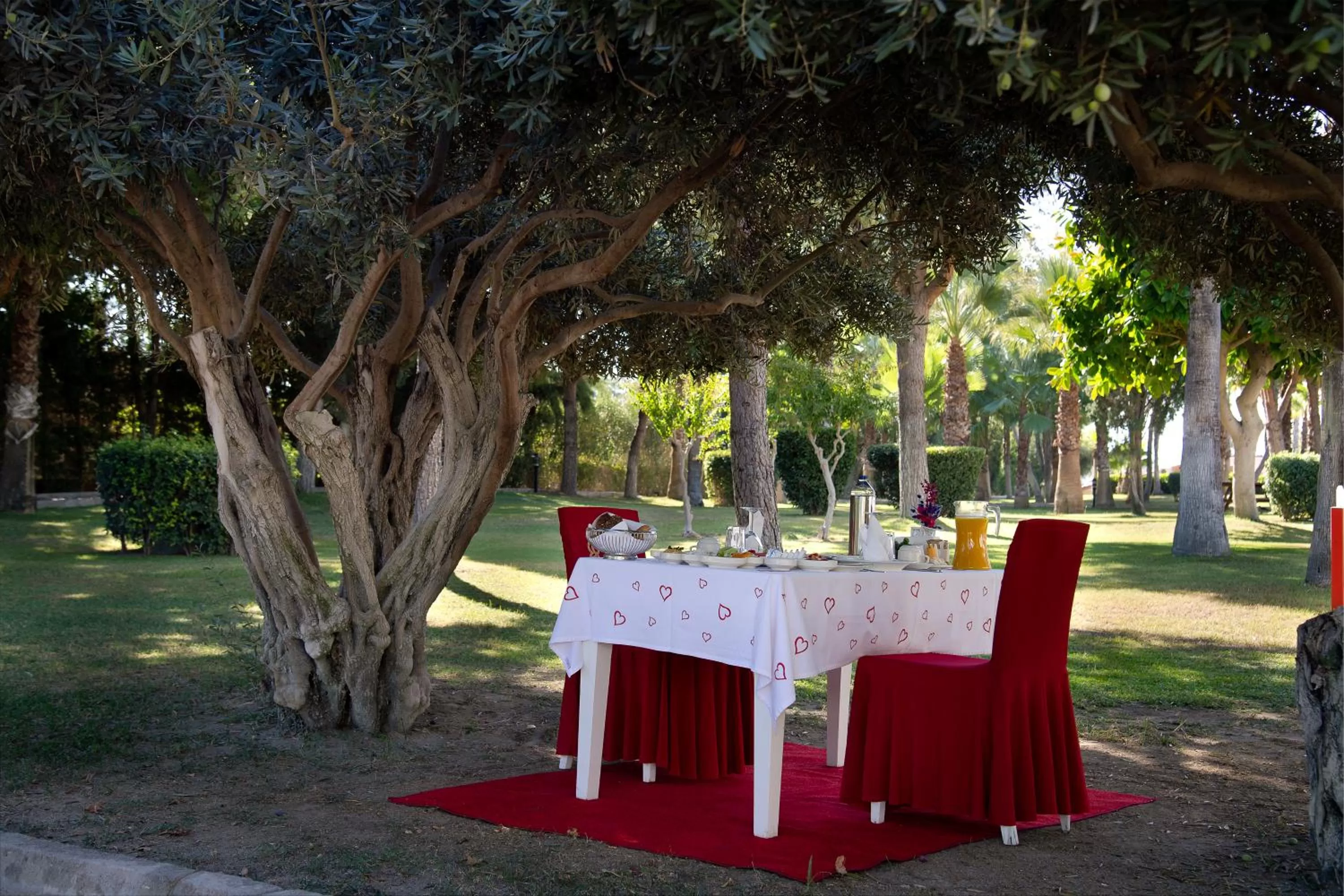 Garden in Kamelya Selin Hotel Luxury Resort & SPA