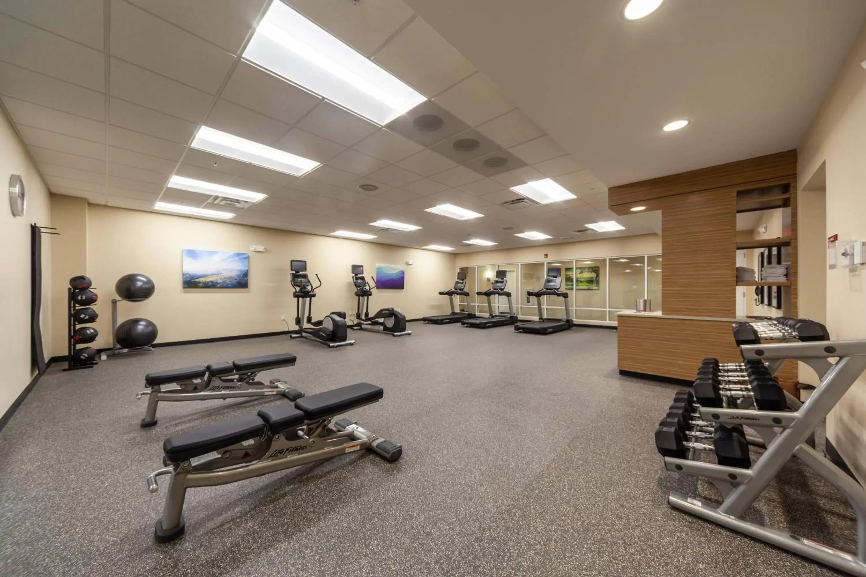 Fitness centre/facilities, Fitness Center/Facilities in TownePlace Suites by Marriott Front Royal