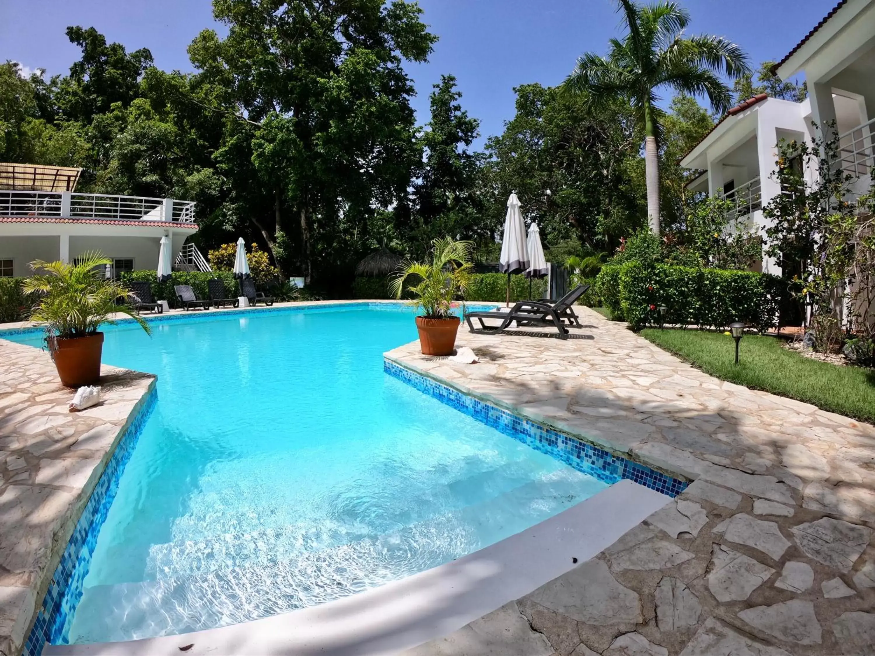 Garden, Swimming Pool in Coral Blanco Hotel