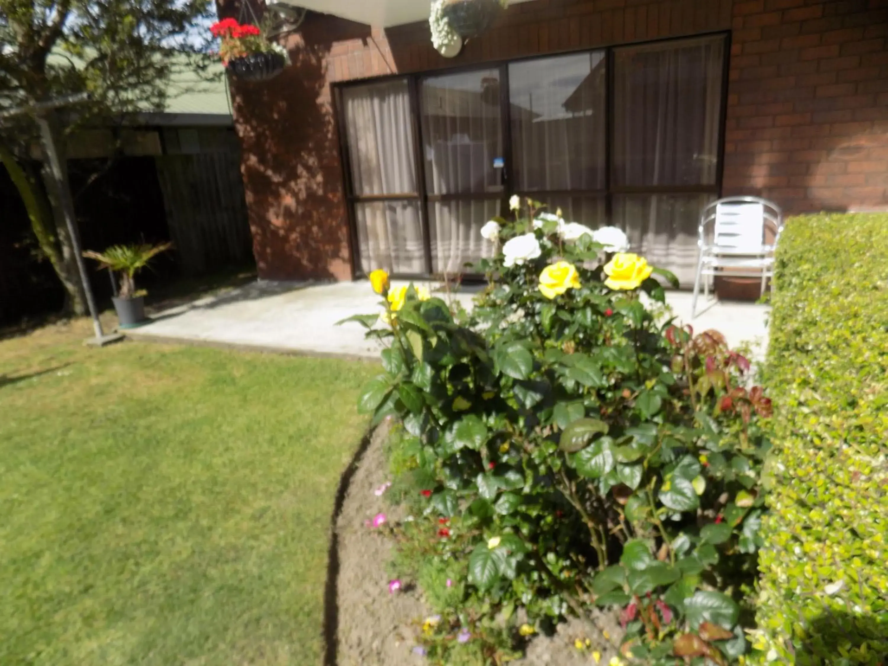 Garden in Garden City Motel