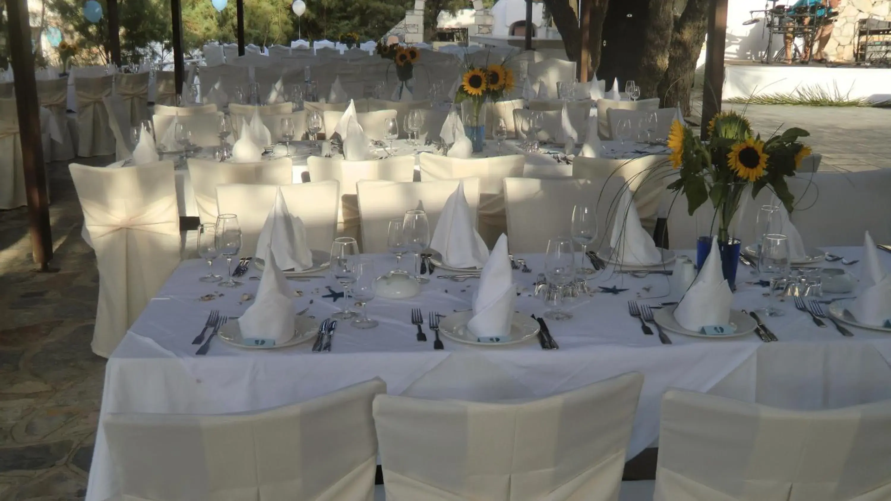 Banquet/Function facilities, Banquet Facilities in Istron Bay Hotel