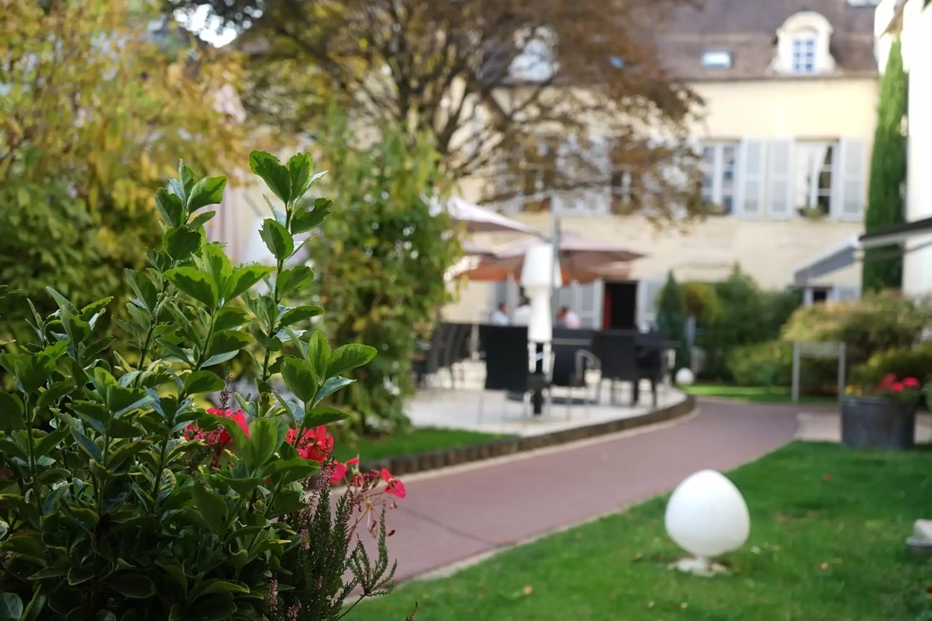 Garden in Maison Philippe Le Bon, Les Collectionneurs