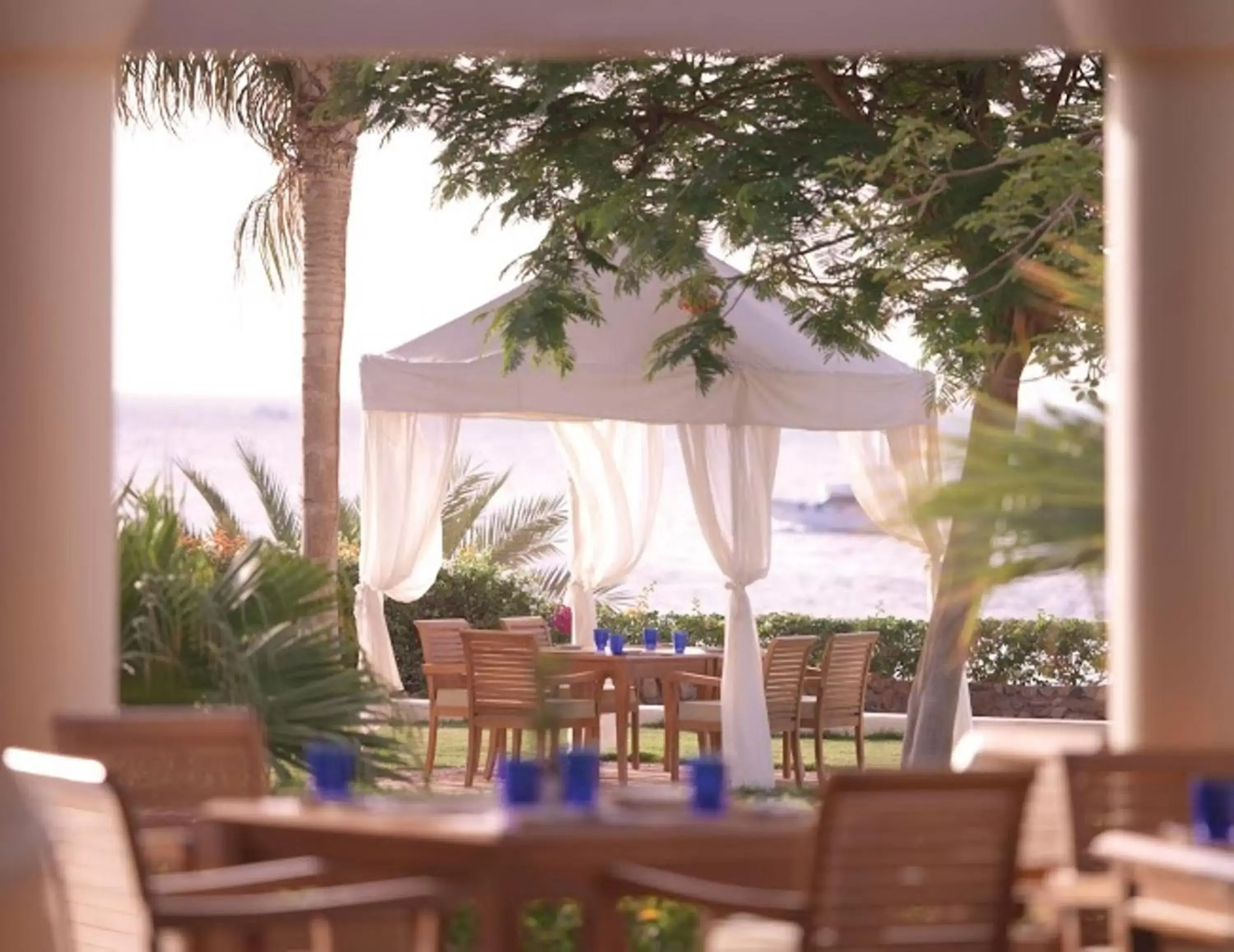 Garden, Restaurant/Places to Eat in Monte Carlo Sharm Resort & Spa