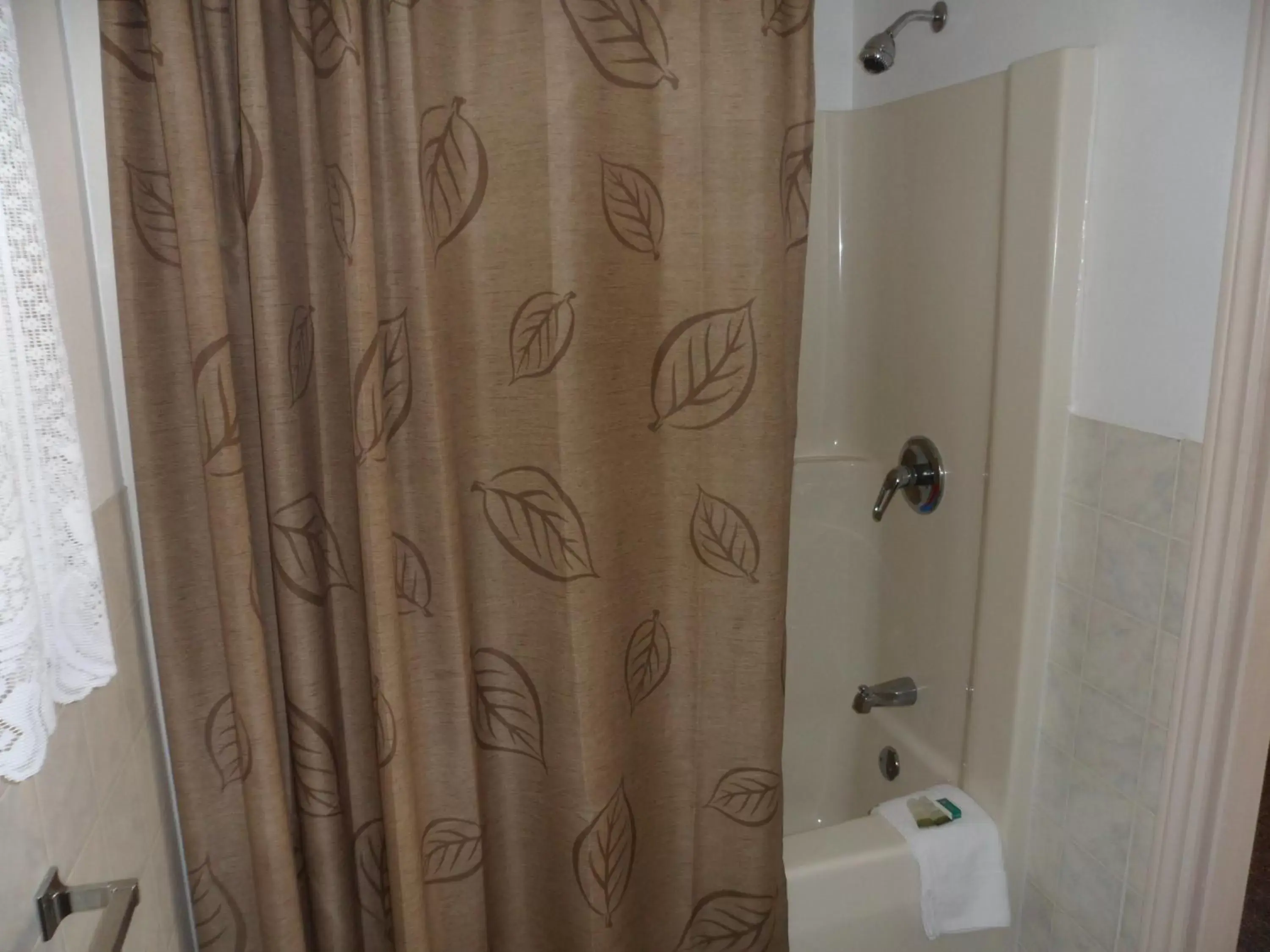 Shower, Bathroom in The Silver Birch Motel