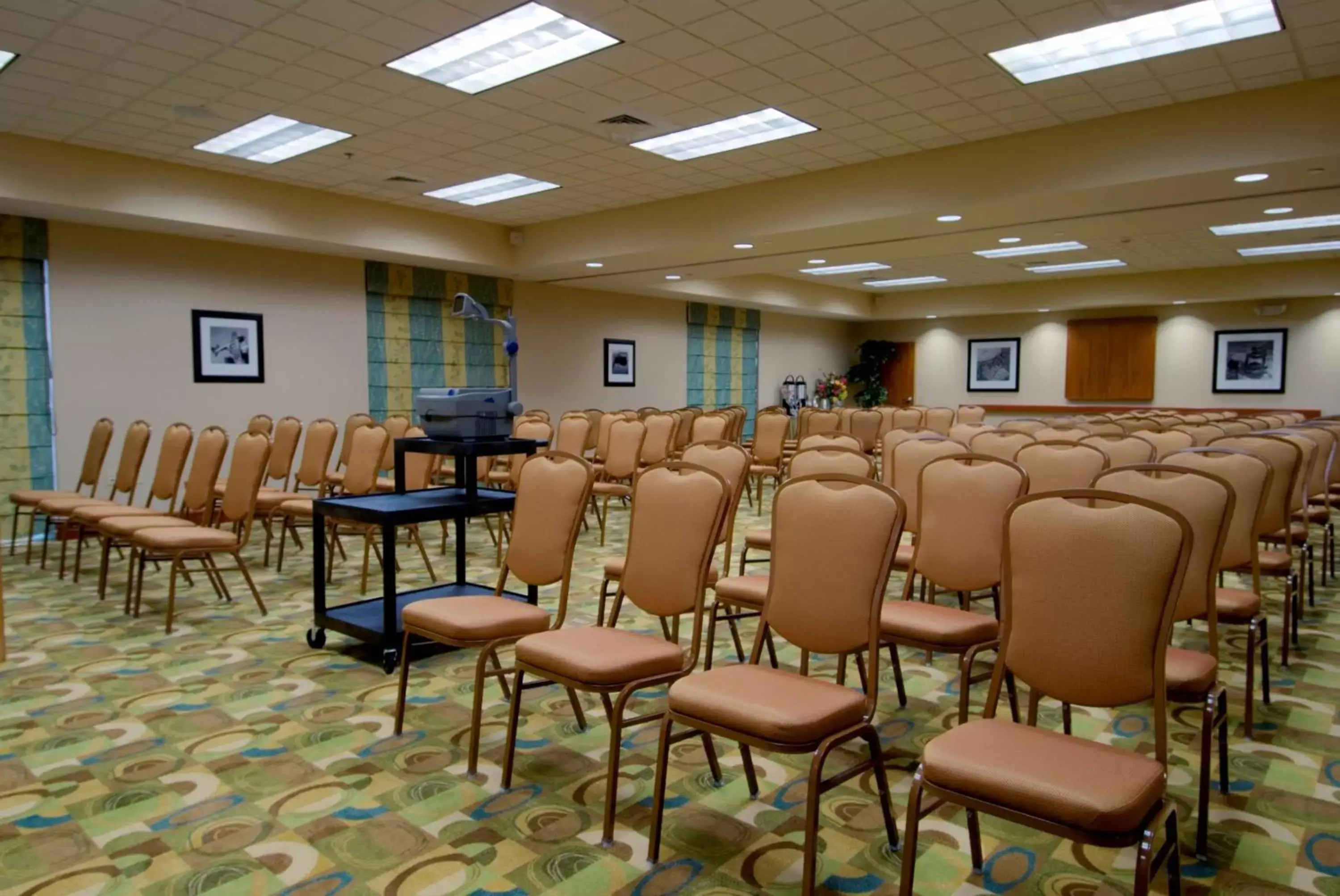 Meeting/conference room in Hampton Inn Hendersonville