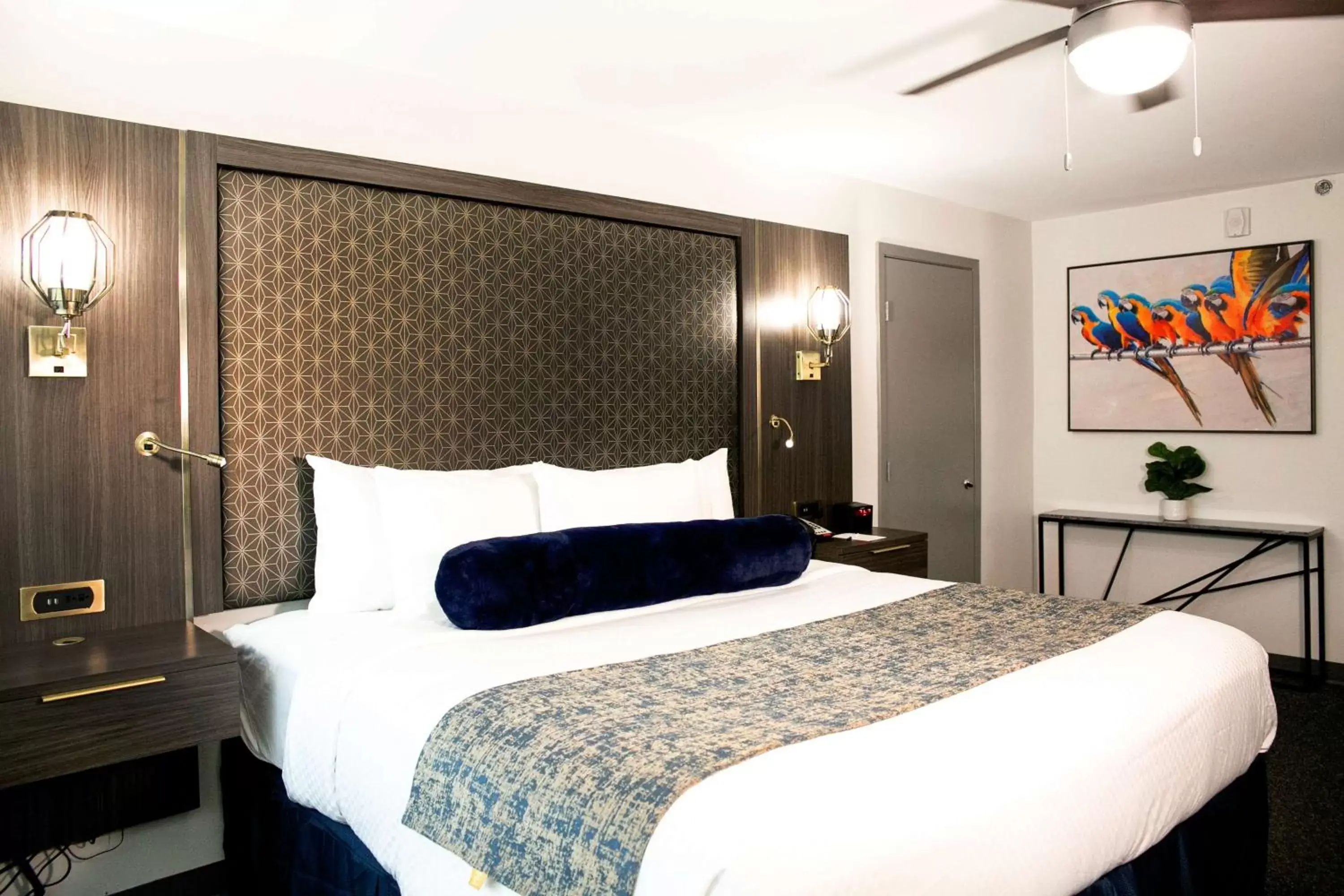 Bedroom, Bed in Radisson Hotel McAllen Airport