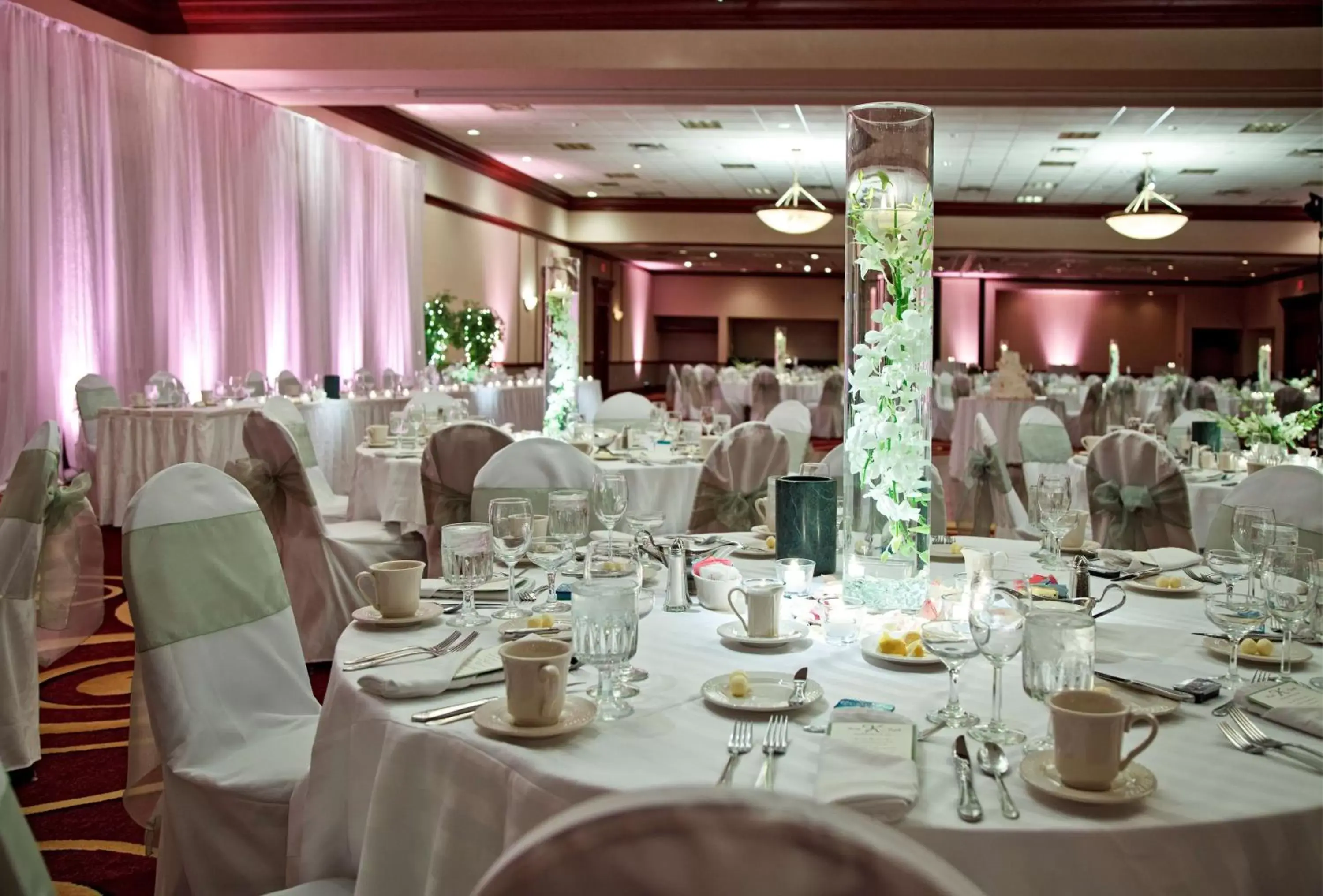 Meeting/conference room, Banquet Facilities in Embassy Suites Lexington