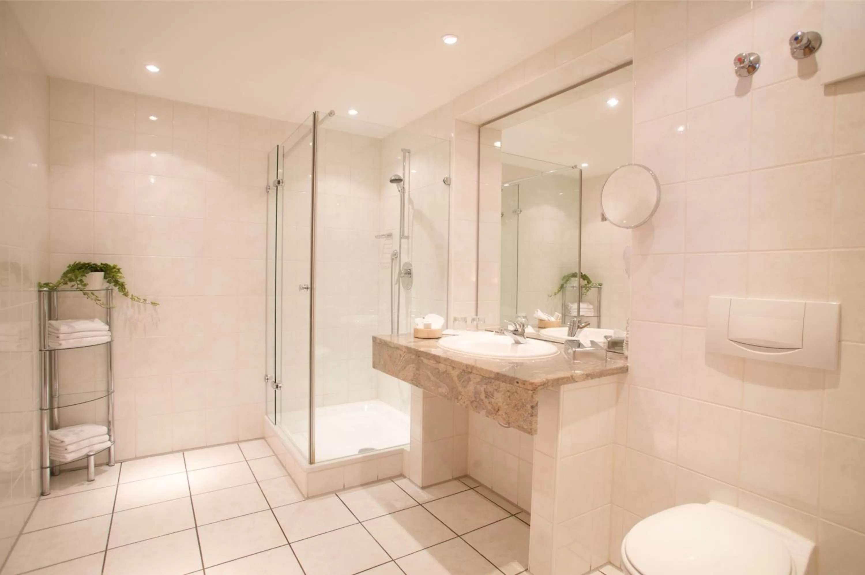 Shower in Hotel & Restaurant Dornweiler Hof